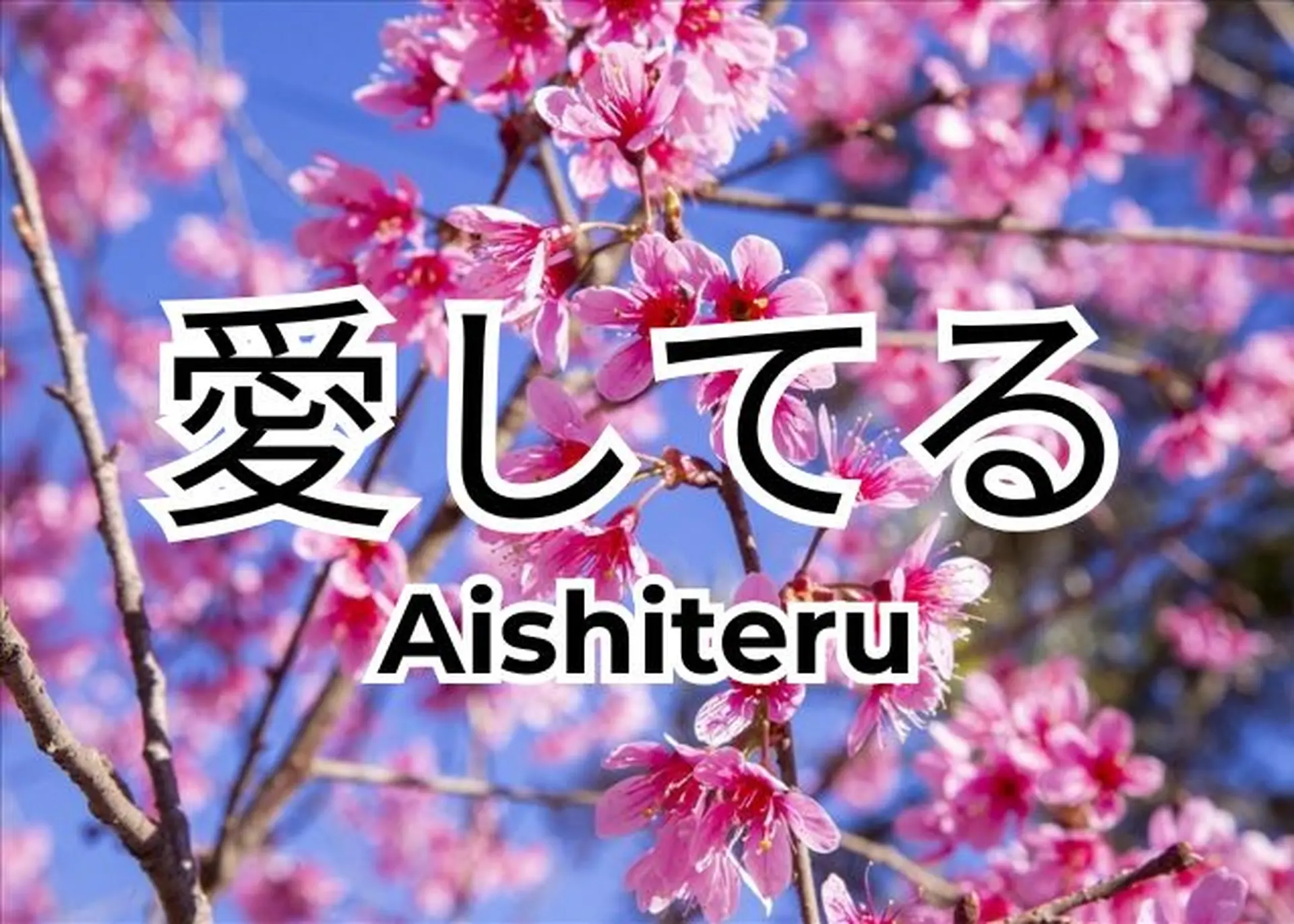 Aishiteru là gì? Giải mã khái niệm và cách sử dụng Aishiteru