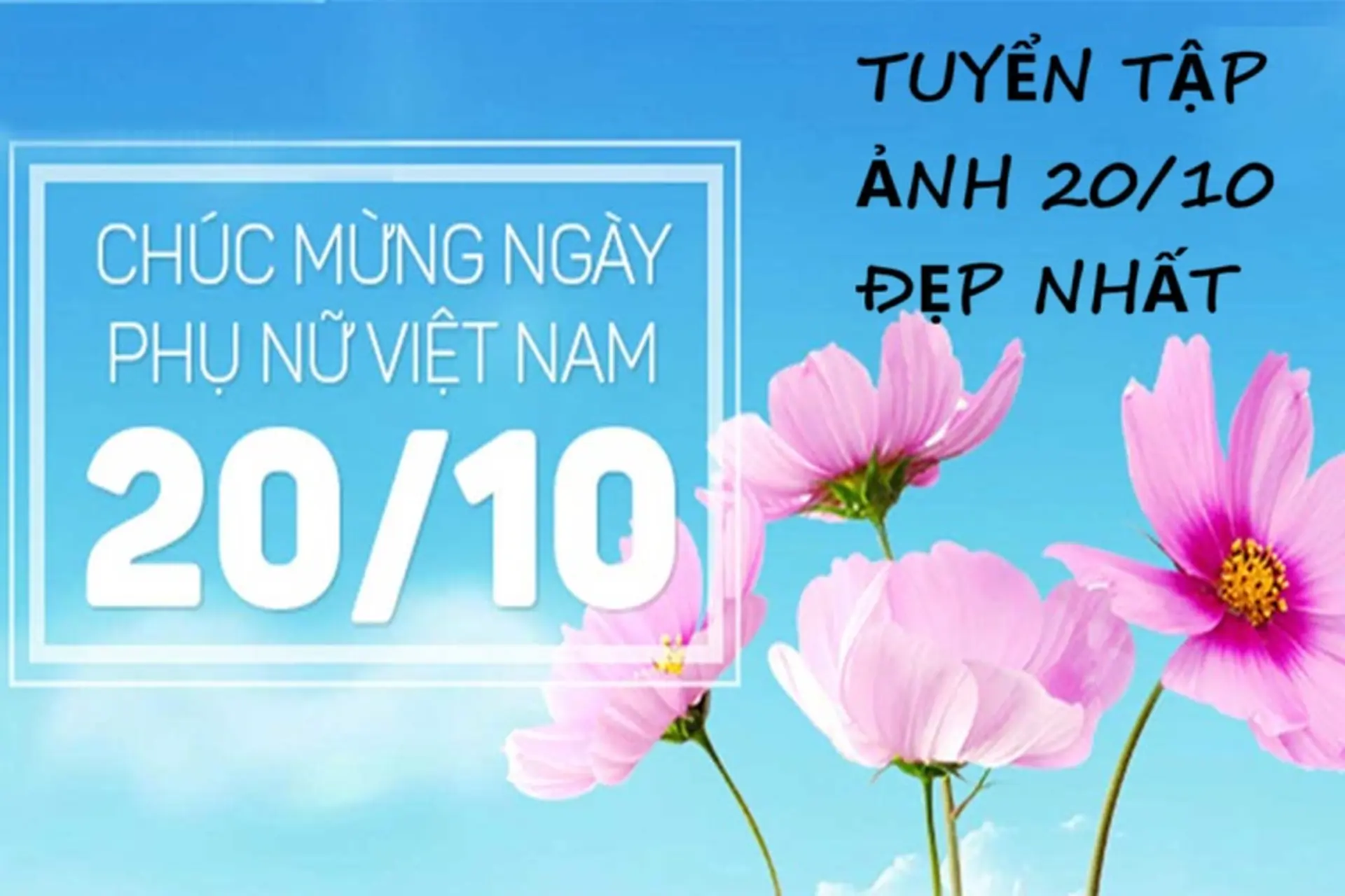 Tuyển tập ảnh 20/10 đẹp nhất, ảnh kèm lời chúc ý nghĩa, yêu thương dành cho Ngày Phụ nữ Việt Nam