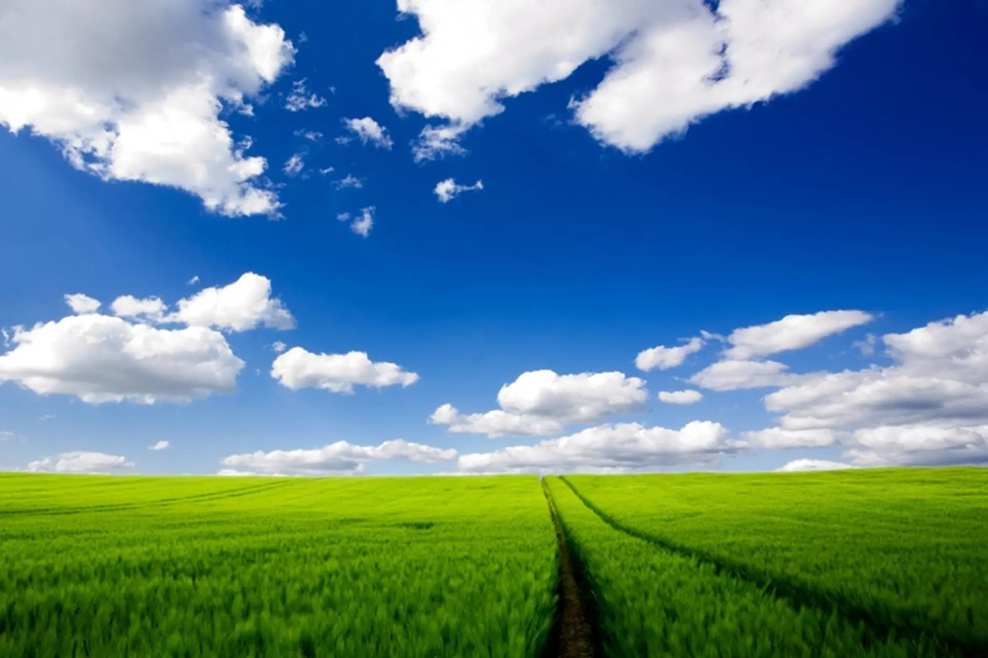 Top 6 chủ đề ảnh bìa đẹp mắt cực thu hút mà bạn không nên bỏ qua khi dùng mạng xã hội