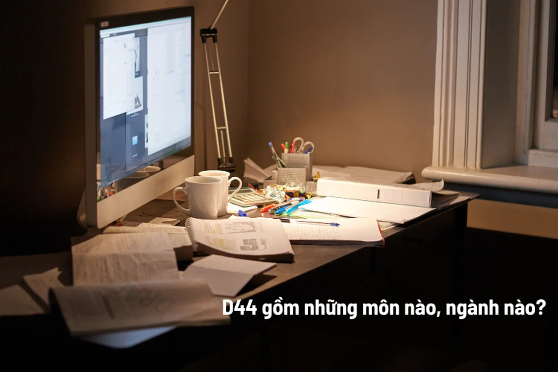 Khối D44 gồm những môn nào, ngành nào? Tìm hiểu cơ hội nghề nghiệp từ các ngành học