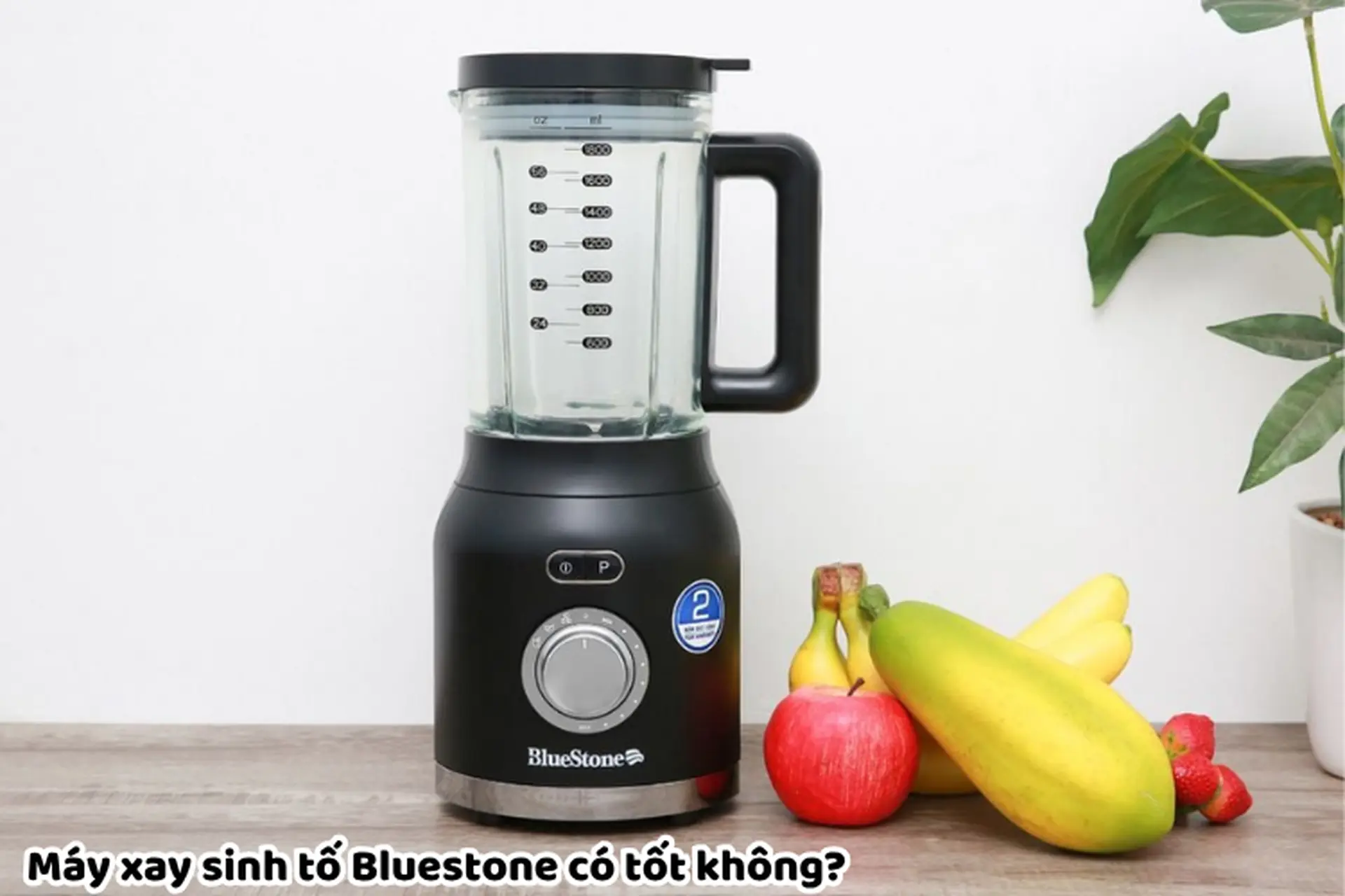 Máy xay sinh tố BlueStone có tốt không? Khám phá ngay top mẫu bán chạy hiện nay