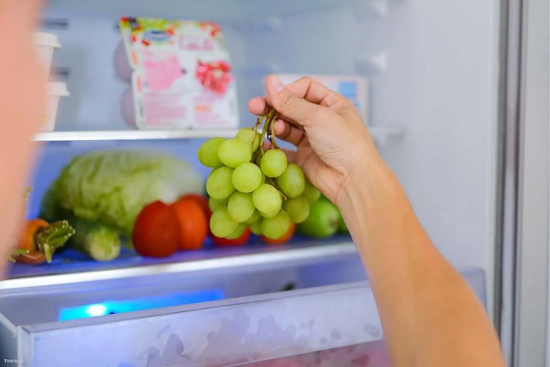 Công nghệ ánh sáng xanh Active Blue Light trên tủ lạnh Beko là gì và có công dụng gì?