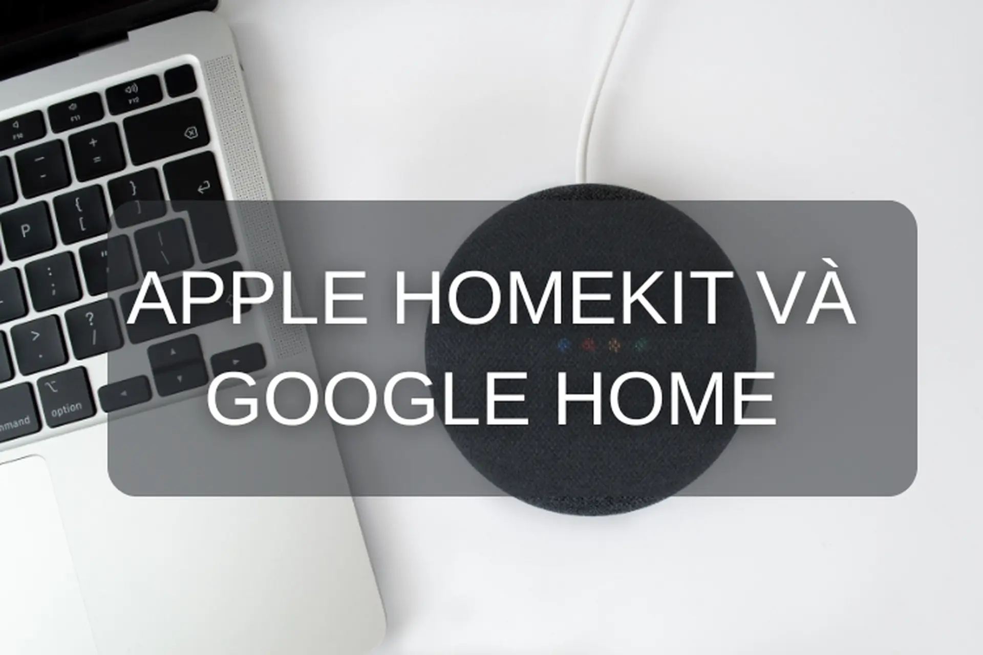 Apple HomeKit và Google Home: Hệ sinh thái nhà thông minh nào phù hợp với bạn?