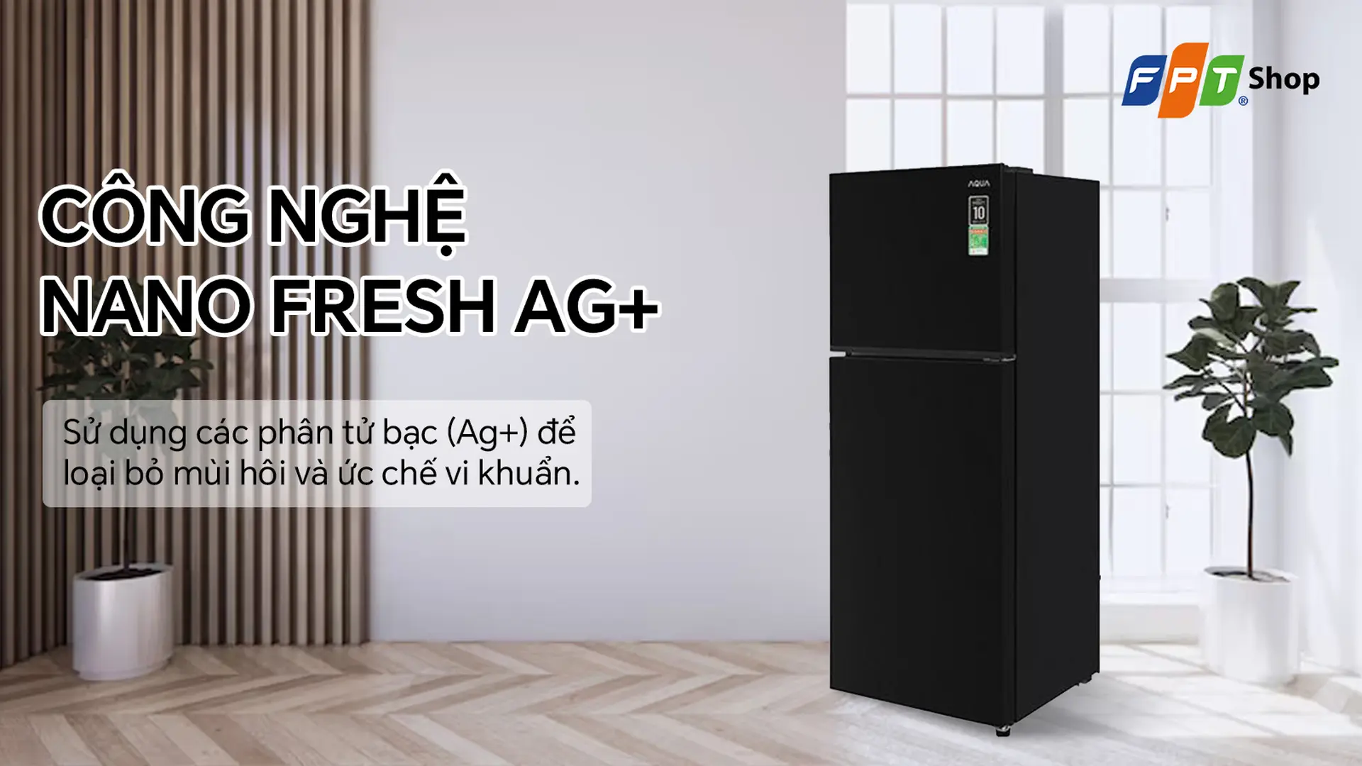 https://fptshop.com.vn/
