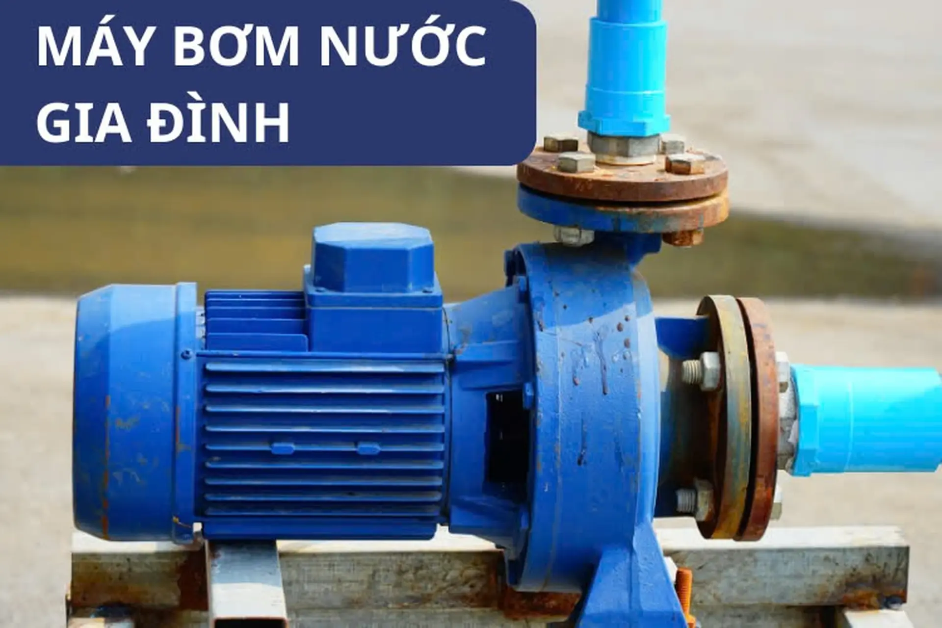 Máy bơm nước gia đình: Những loại phổ biến và các tiêu chí cần lưu ý khi chọn mua sản phẩm