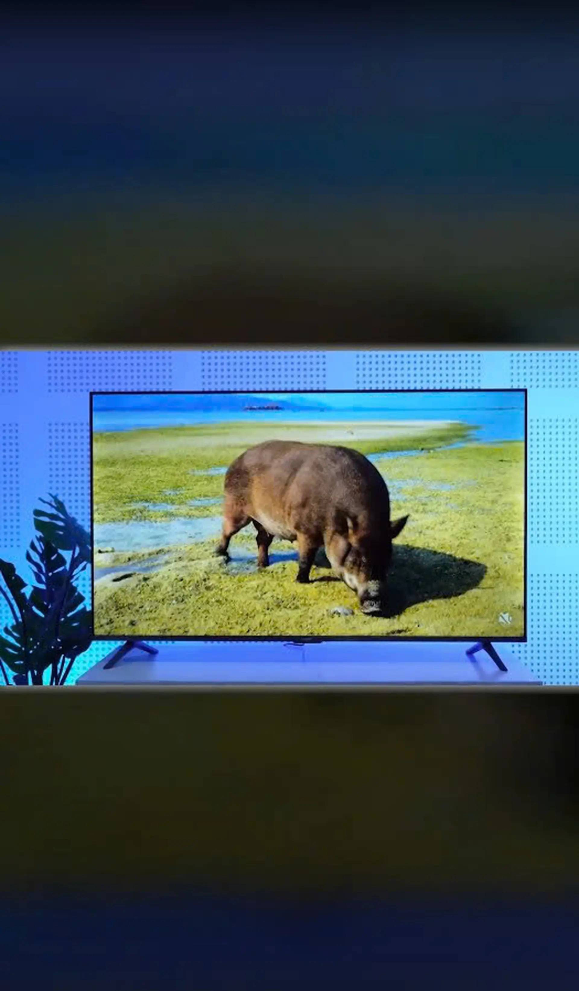 Xiaomi Google TV 55 inch 4K A 2026 L55MB-ASEA