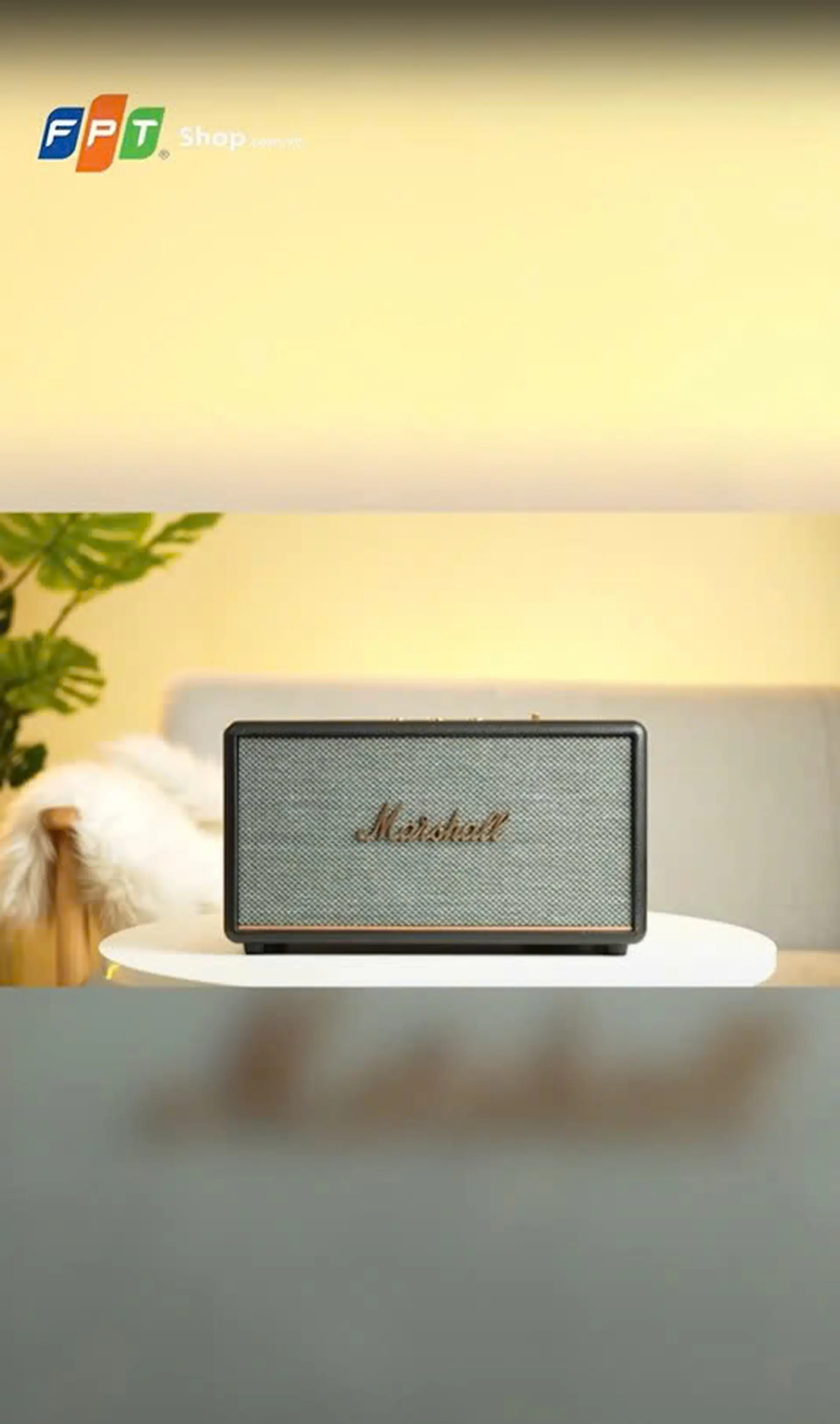 Loa Bluetooth Marshall Stanmore III Nâu