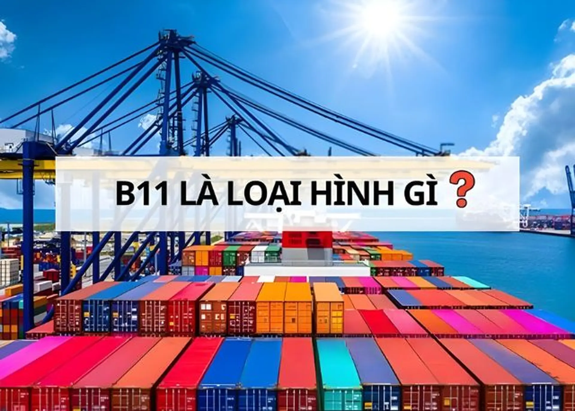 B11 là loại hình gì? Sử dụng khi nào? Loại hình B11 có phải nộp thuế không?