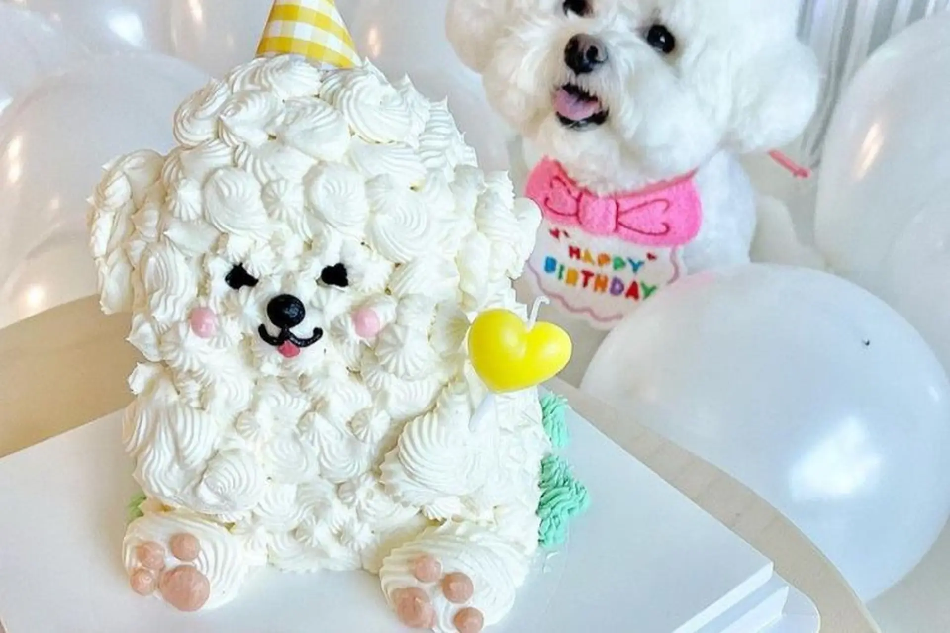 Tổng hợp mẫu bánh kem hình con chó đẹp, dễ thương và ý nghĩa nhất dành cho người yêu thú cưng