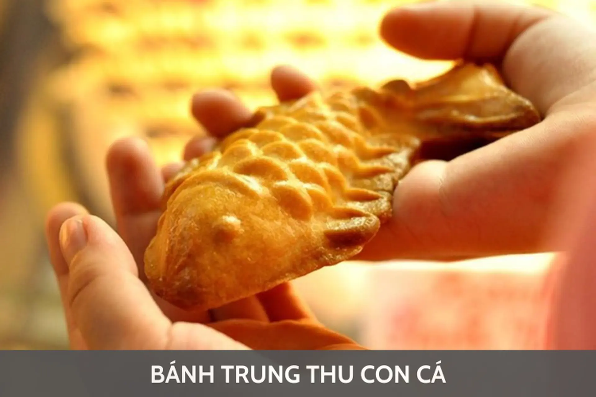 Khám phá bánh Trung thu con cá: Biểu tượng của sự thịnh vượng và may mắn trong mùa Đoàn viên