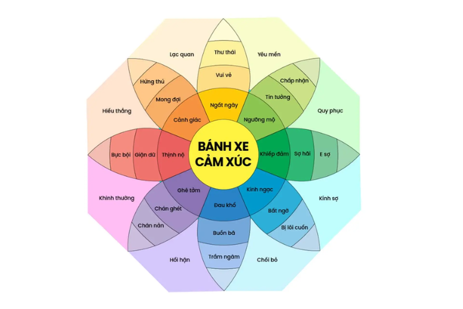 Bánh xe cảm xúc là gì? Công cụ trực quan giúp bạn hiểu rõ nội tâm của chính mình