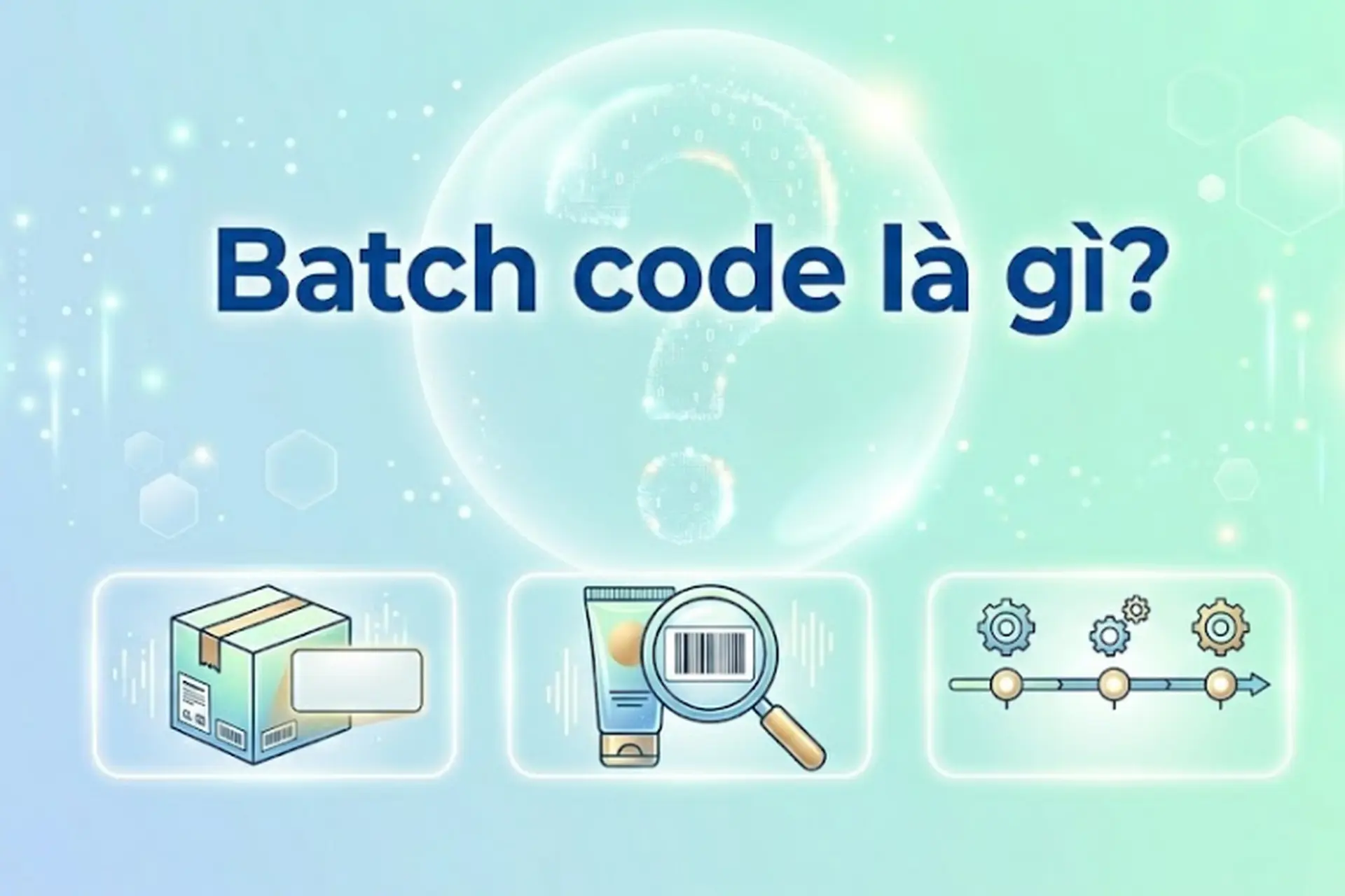 Batch code là gì? Ý nghĩa và vai trò quan trọng khi kiểm tra nguồn gốc sản phẩm
