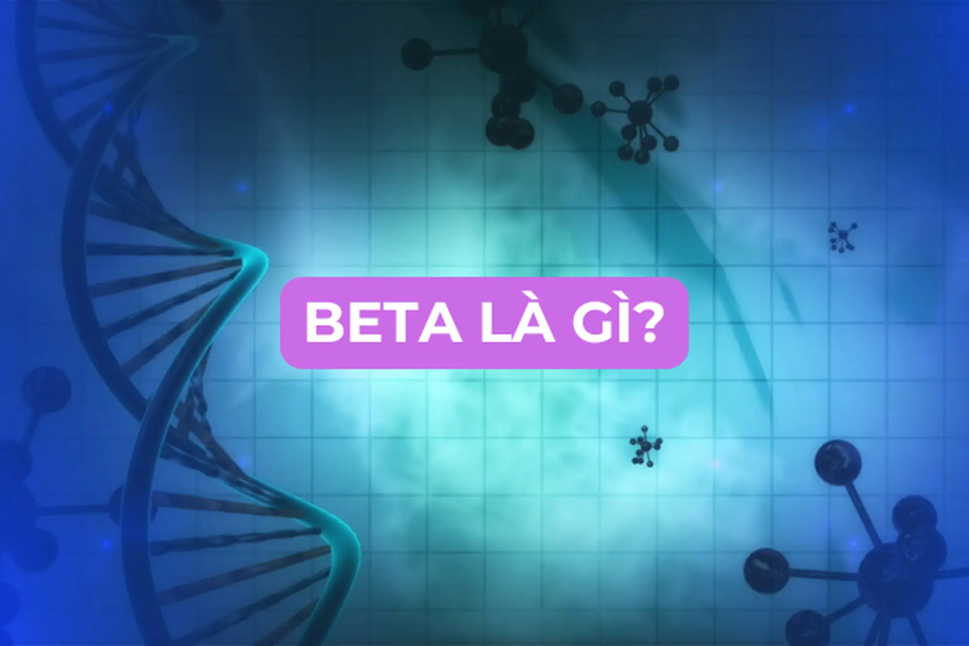 Beta là gì? Thuật ngữ nghe quen tai nhưng không phải ai cũng hiểu đúng bản chất