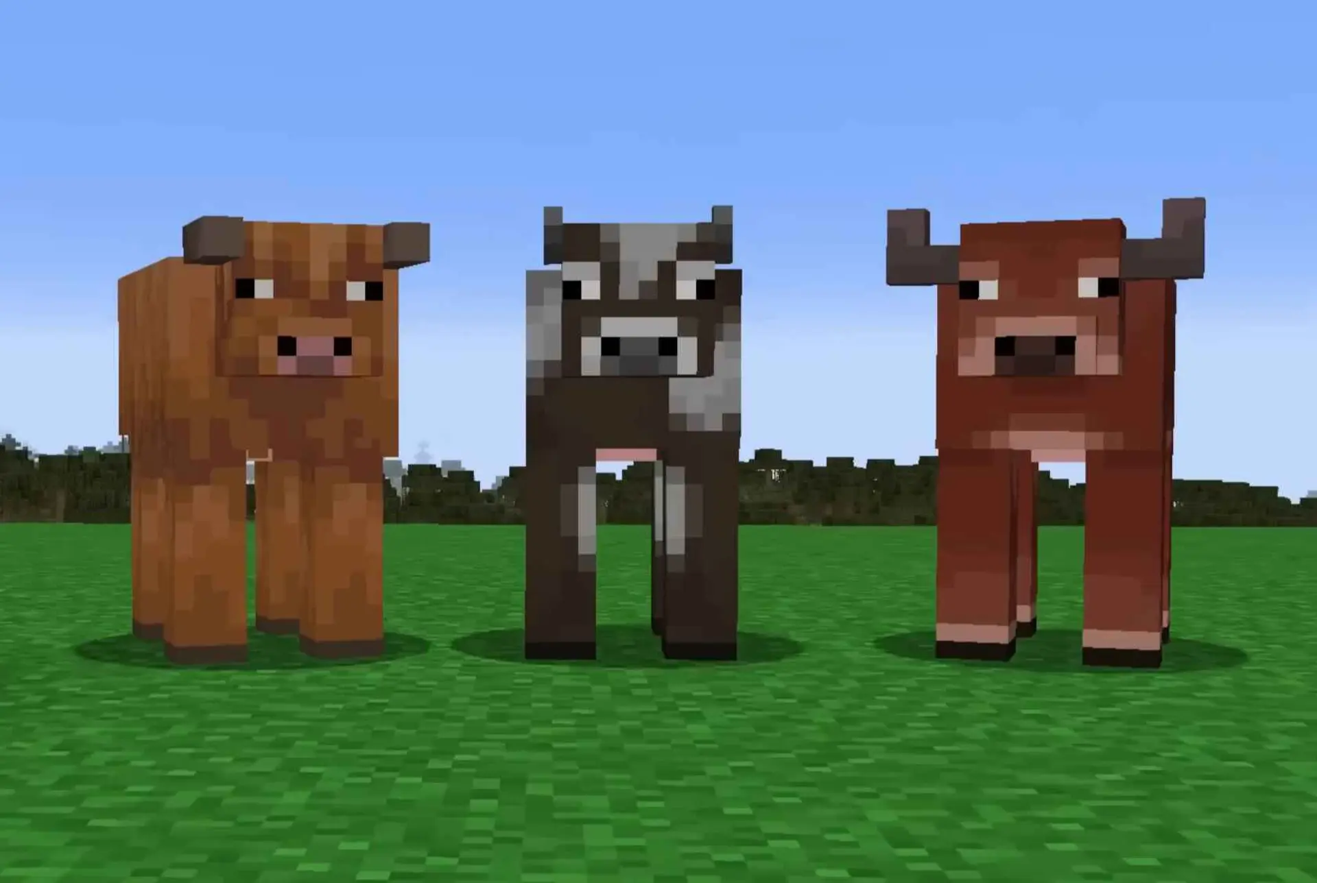 Hướng dẫn toàn tập về bò Minecraft: Tìm chúng ở đâu và nhân giống như thế nào?