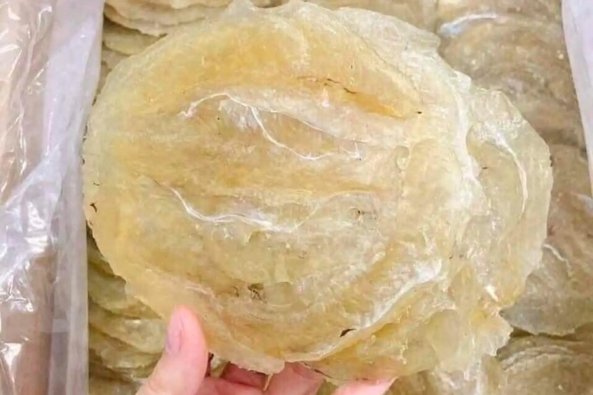 Cá bò khô có ngon không? Tìm hiểu về giá trị dinh dưỡng và những lưu ý khi sử dụng