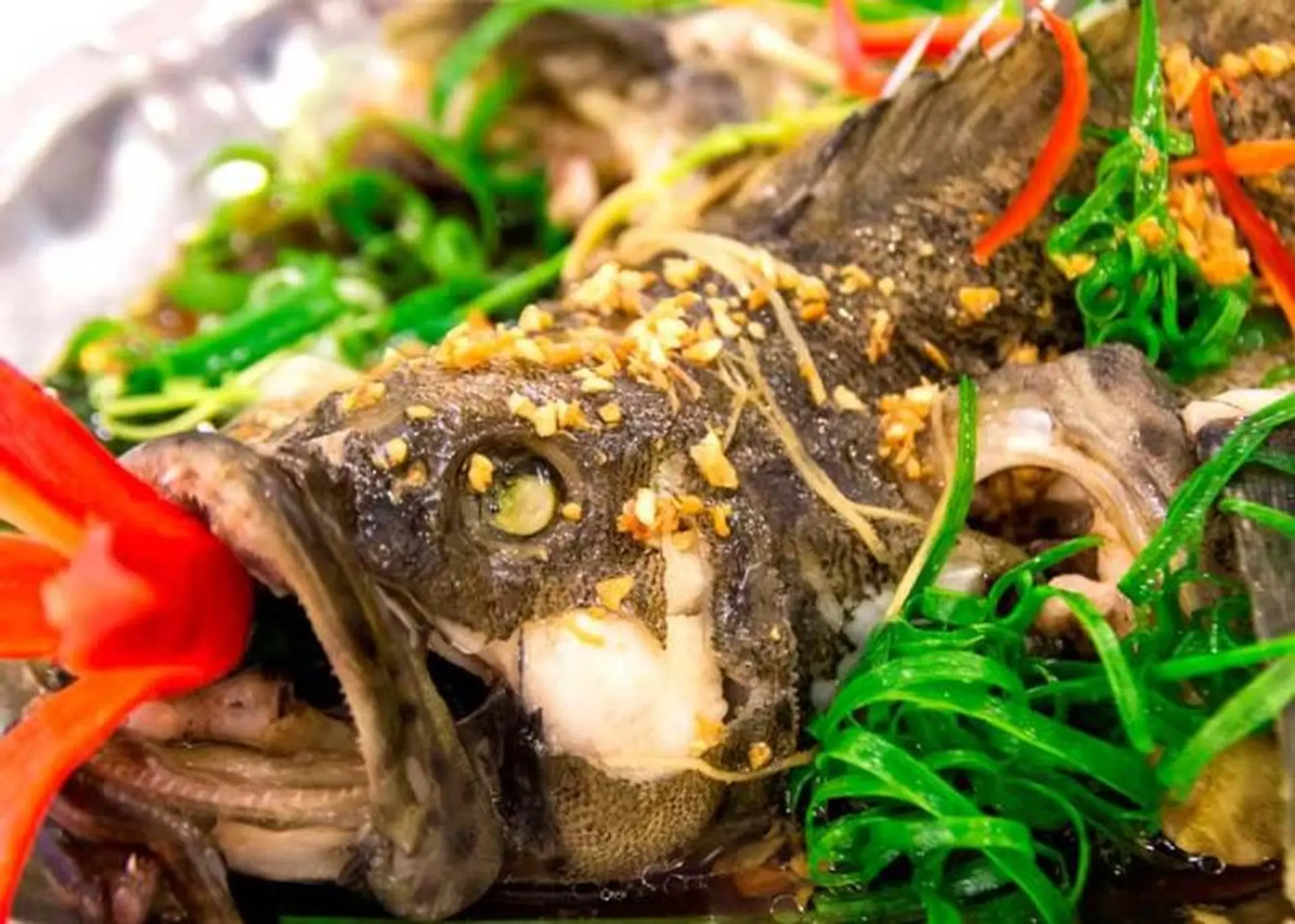 Cá mú chưng tương
