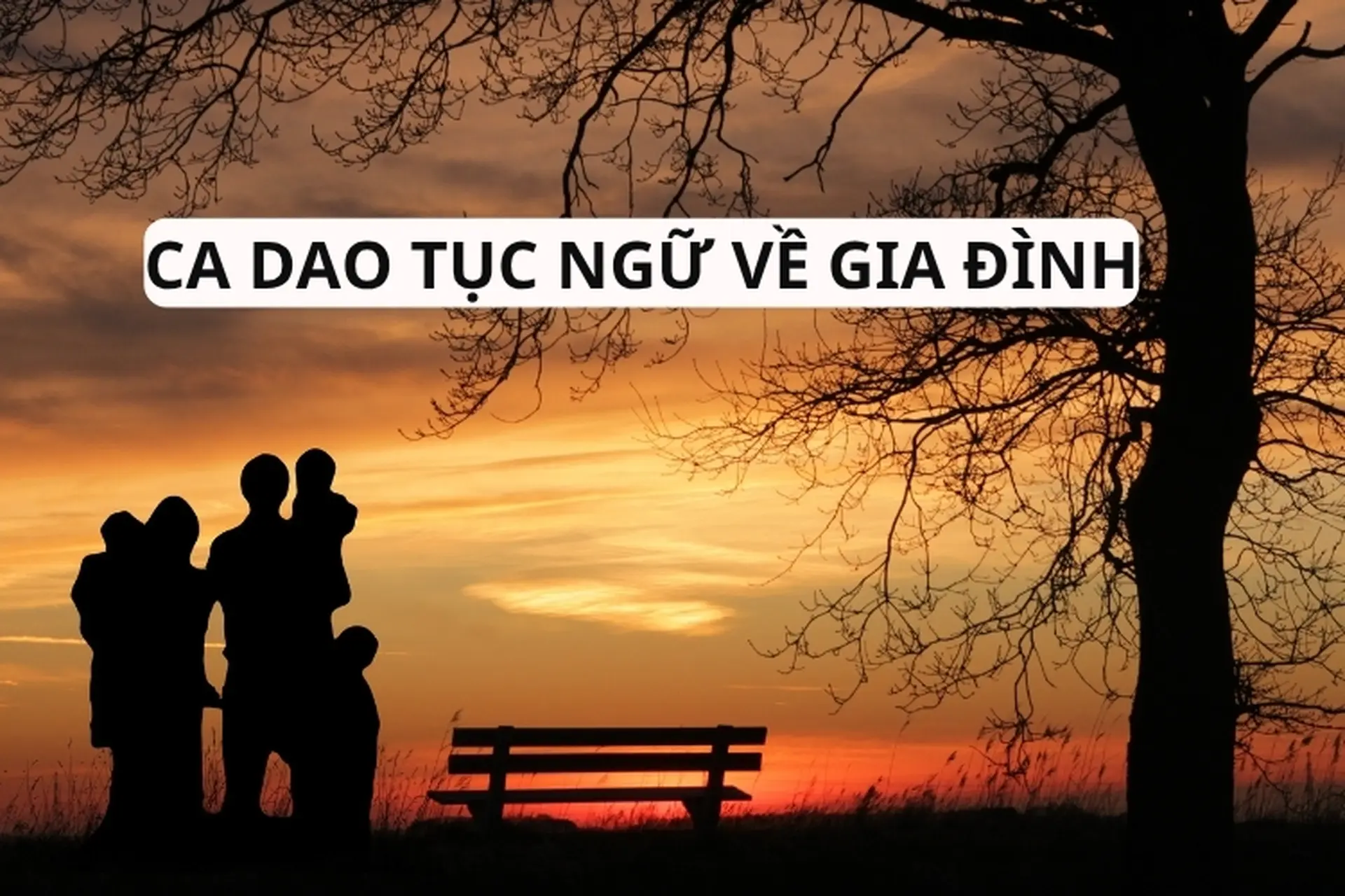 Tuyển chọn những câu ca dao tục ngữ về gia đình hay nhất, đậm giá trị truyền thống Việt