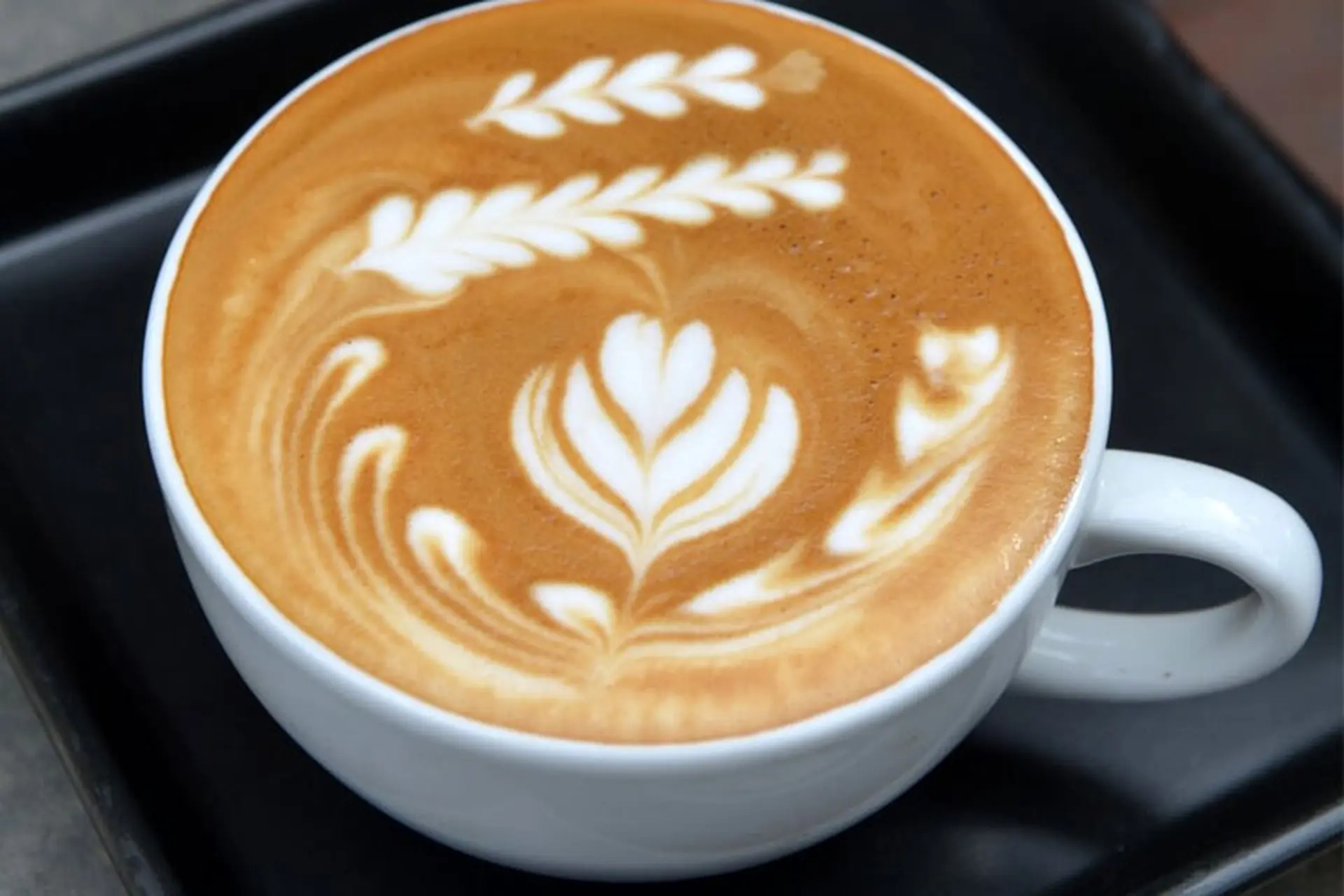 Cà phê latte là gì? Tìm hiểu cà phê latte và capuchino khác nhau ở điểm nào?