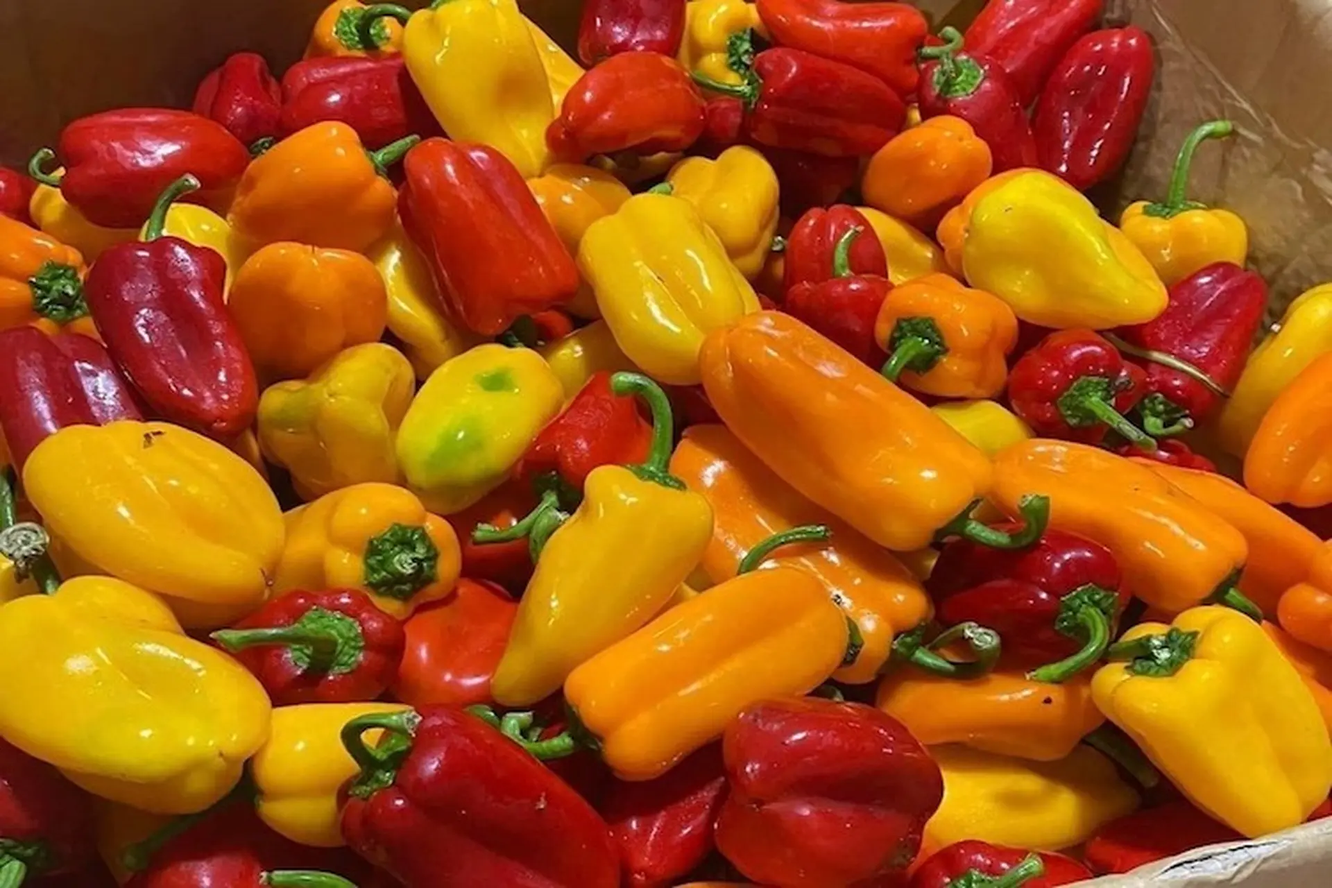 Yuqori sifatli frantsuz porno