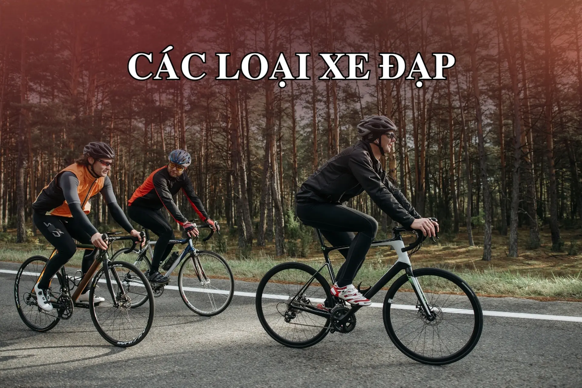 Các loại xe đạp và ứng dụng thực tế - Chọn xe phù hợp với mục đích sử dụng của bạn