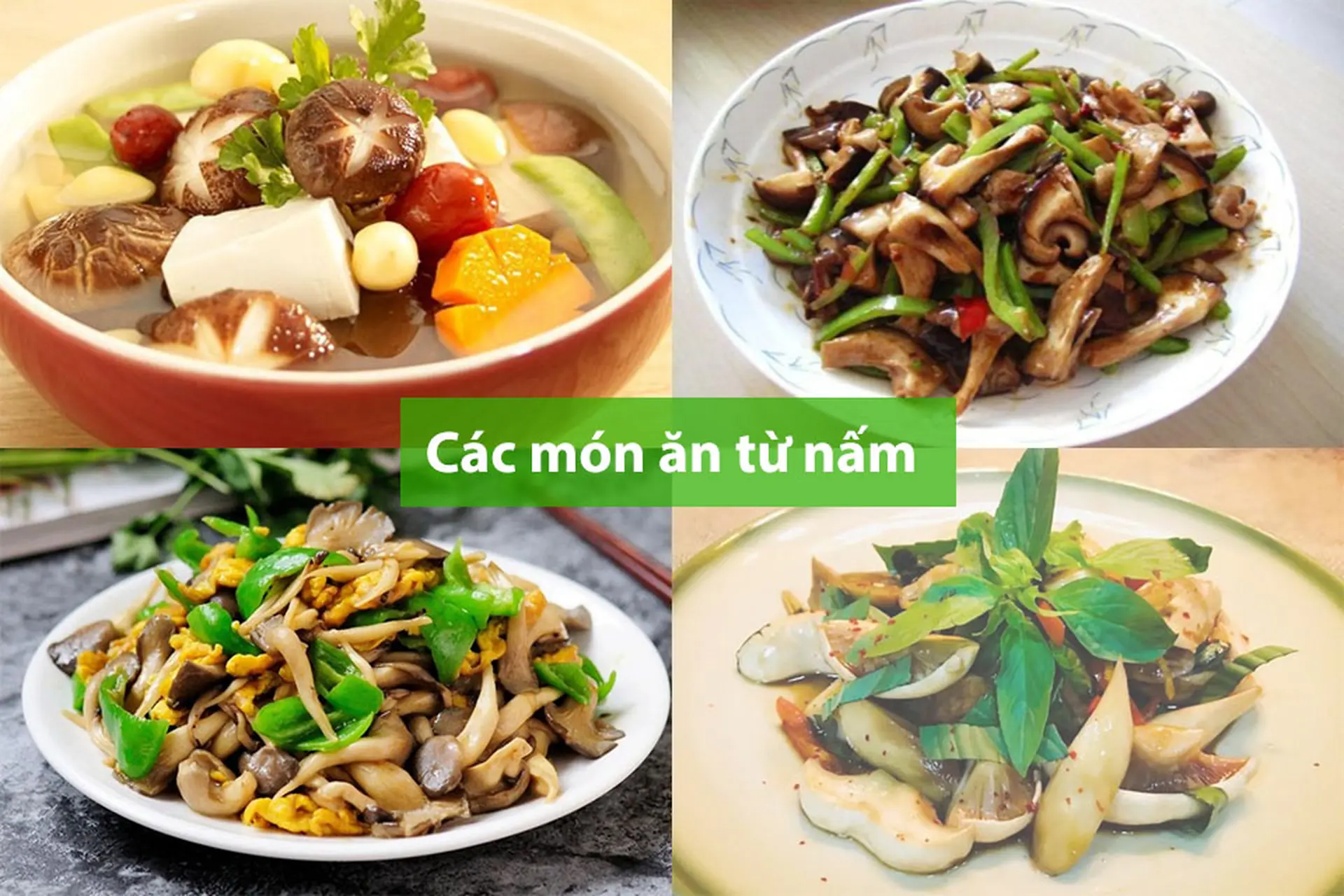 Tổng hợp các món ăn từ nấm dễ làm, thơm ngon và cung cấp dưỡng chất cho cơ thể
