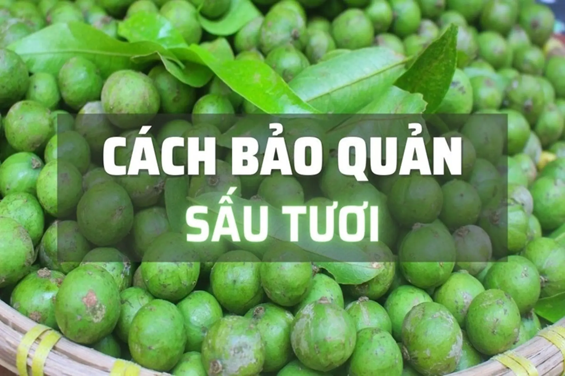Cách bảo quản quả sấu để sử dụng quanh năm mà vẫn tươi ngon, không bị hỏng