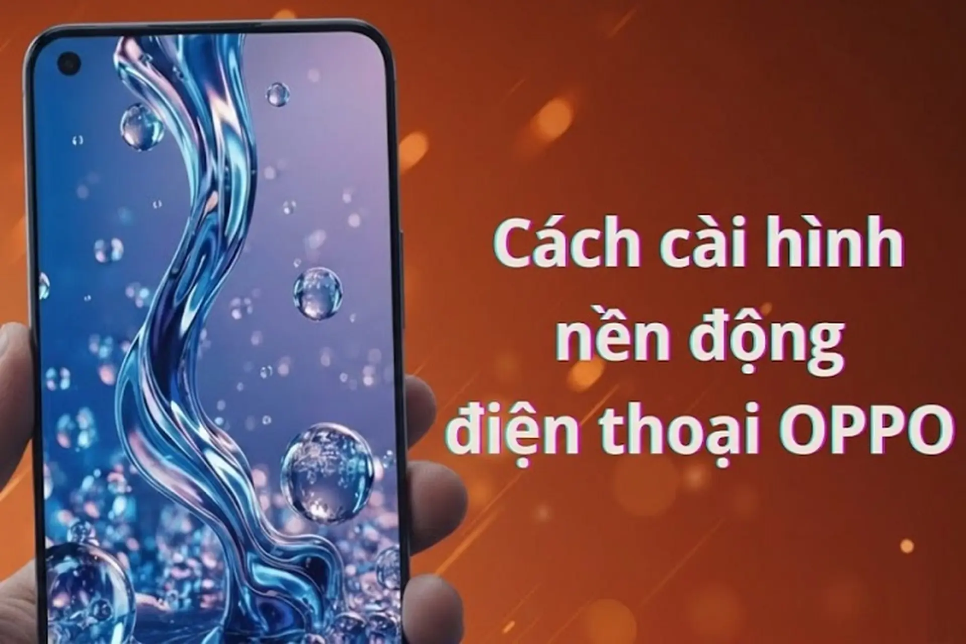 Cách cài hình nền động điện thoại OPPO đẹp mắt, tạo ấn tượng chỉ với vài bước