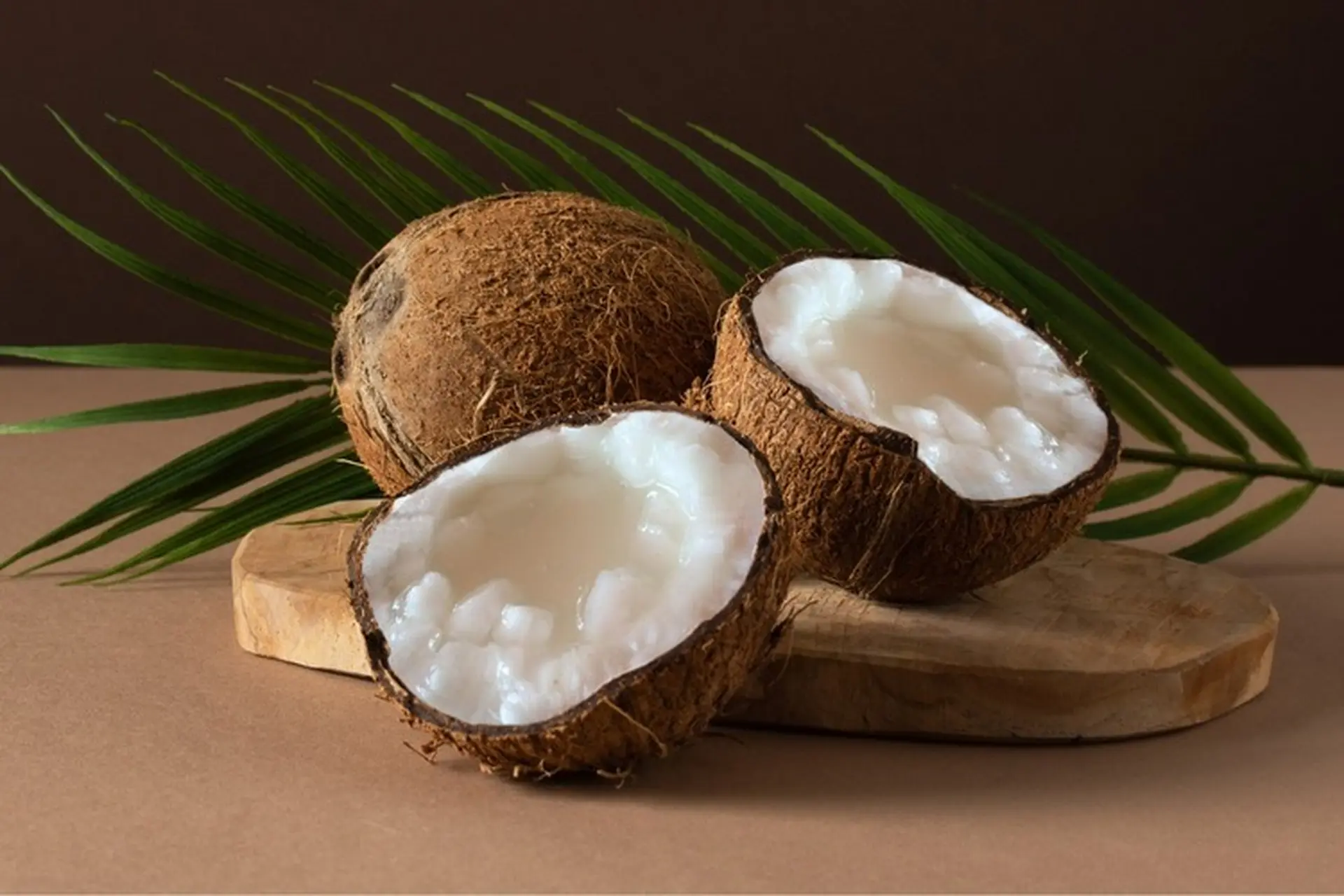 Dừa sáp – Đặc sản độc đáo miền Tây, béo ngậy và giàu dinh dưỡng