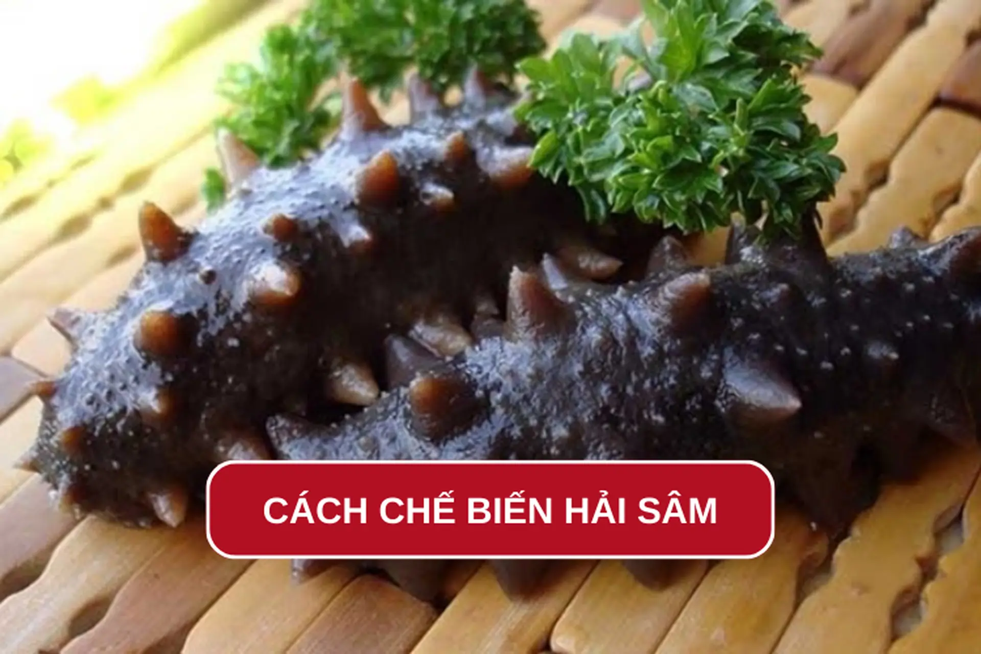 Mách bạn 5 cách chế biến hải sâm thơm ngon, bổ dưỡng, dễ dàng thực hiện ngay tại nhà 