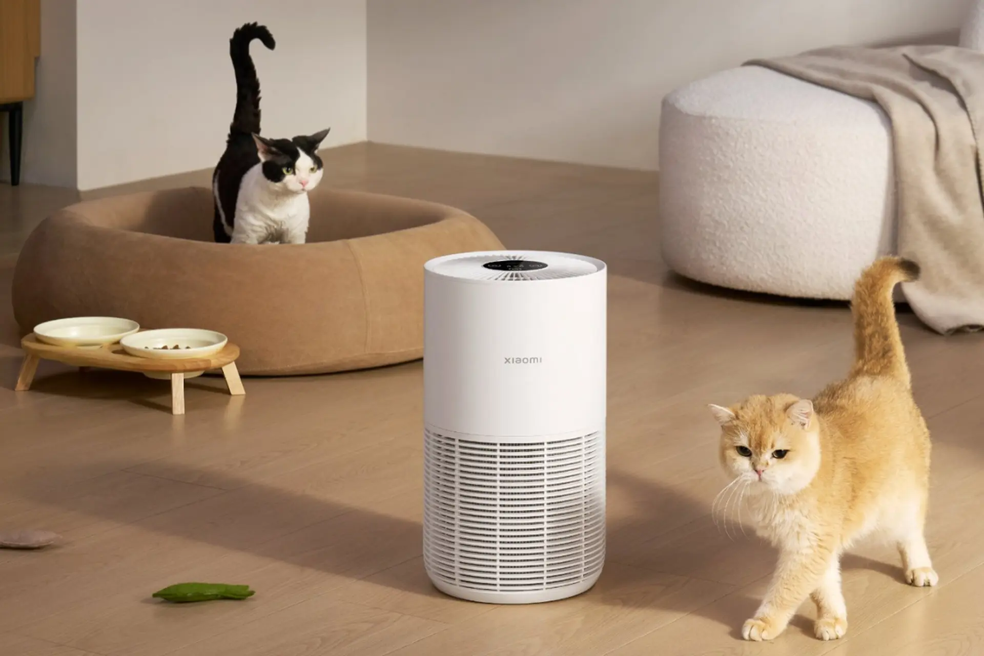 Cách chọn máy lọc không khí cho nhà nuôi thú cưng hiệu quả, giảm lông và mùi trong nhà