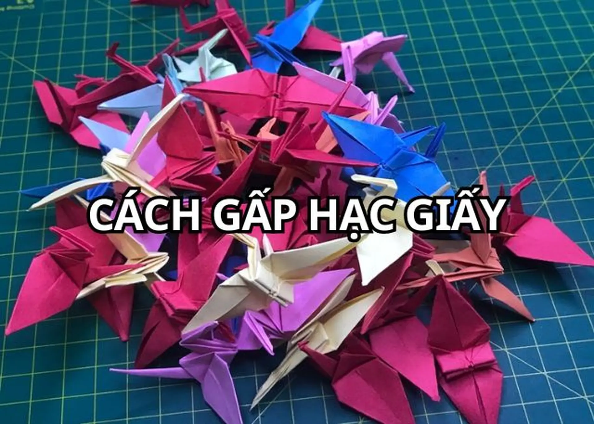 Hướng dẫn cách gấp hạc giấy đơn giản, đẹp mắt và ý nghĩa dành cho người mới bắt đầu
