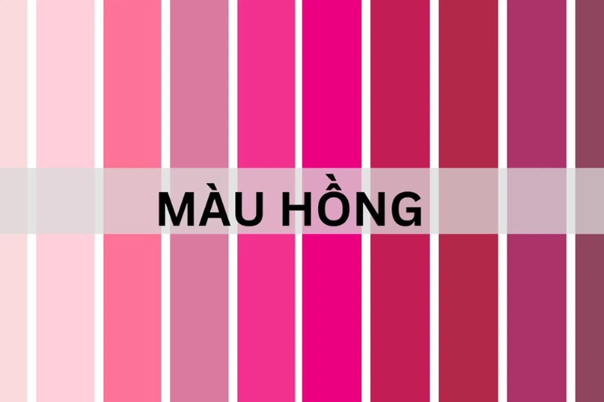 Cách pha màu hồng chuẩn tone: Hướng dẫn chi tiết từ cơ bản đến nâng cao cho thiết kế sáng tạo