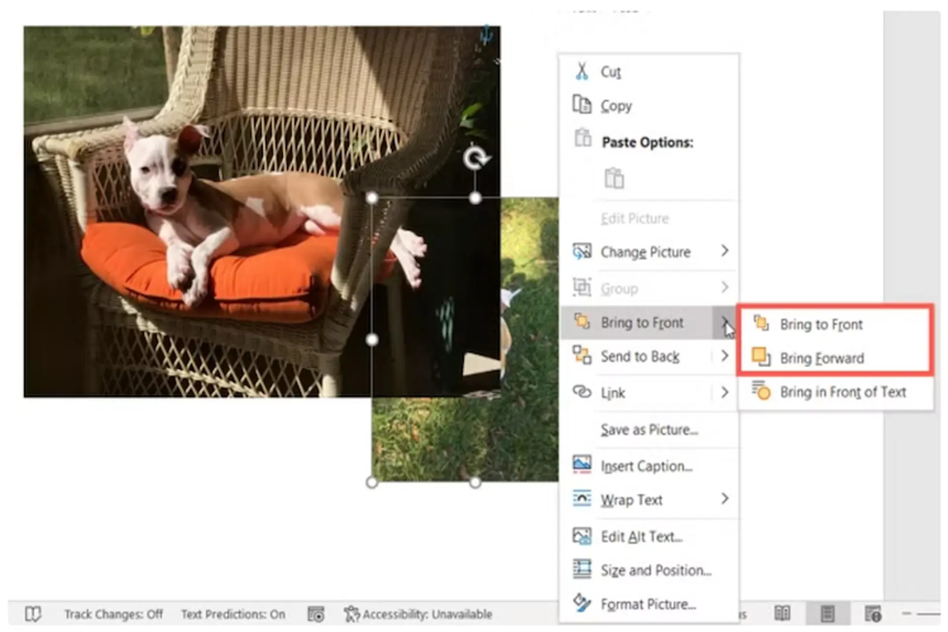 Mách bạn cách sắp xếp ảnh chồng lên nhau trong Word đơn giản và nhanh chóng