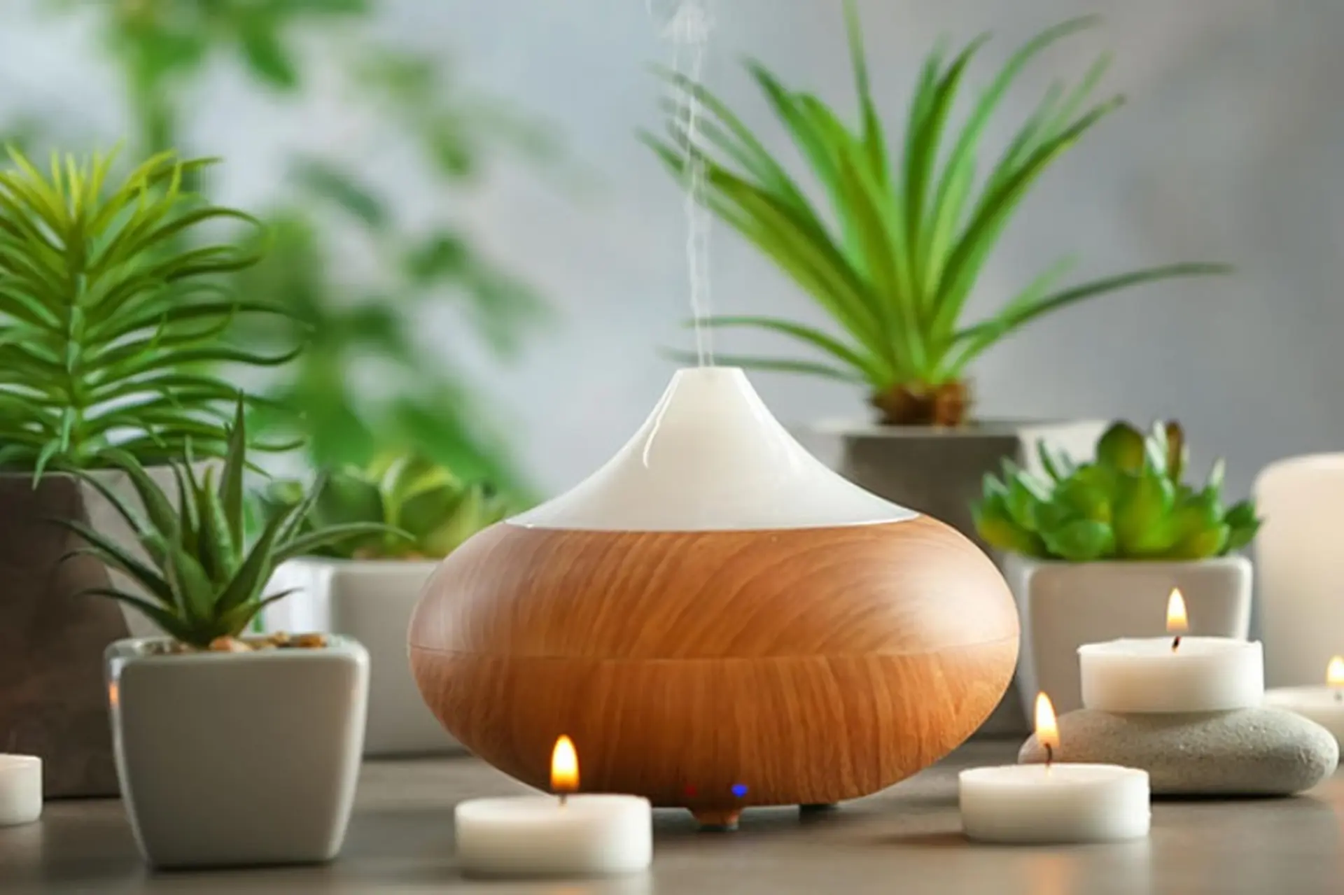 Hướng dẫn cách sử dụng máy xông tinh dầu đúng cách giúp khuếch tán hương thơm hiệu quả