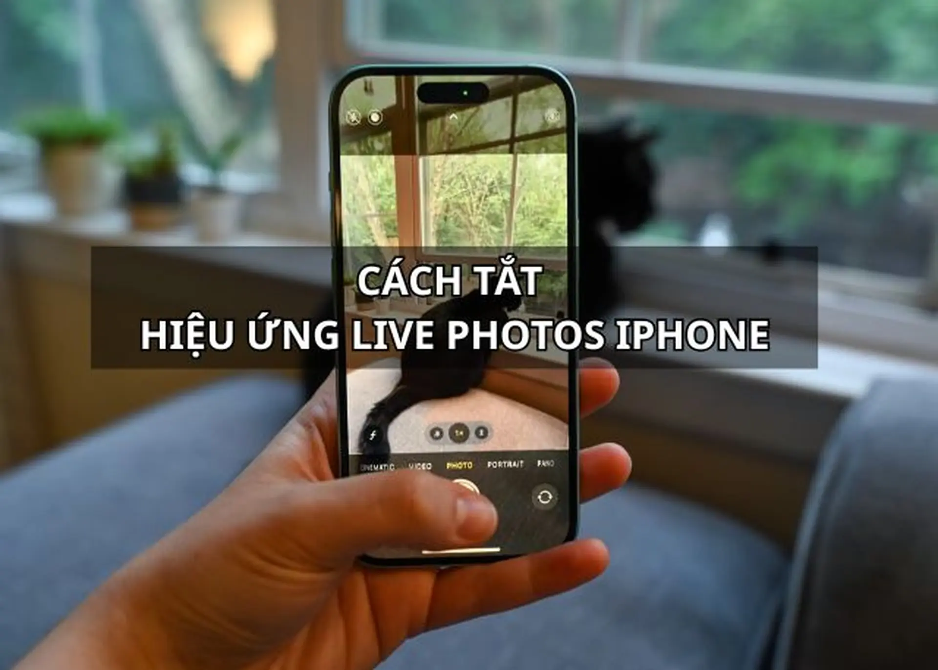 Cách tắt hiệu ứng Live Photos iPhone nhanh chóng để tối ưu bộ nhớ, tạo ảnh tĩnh chất lượng cao