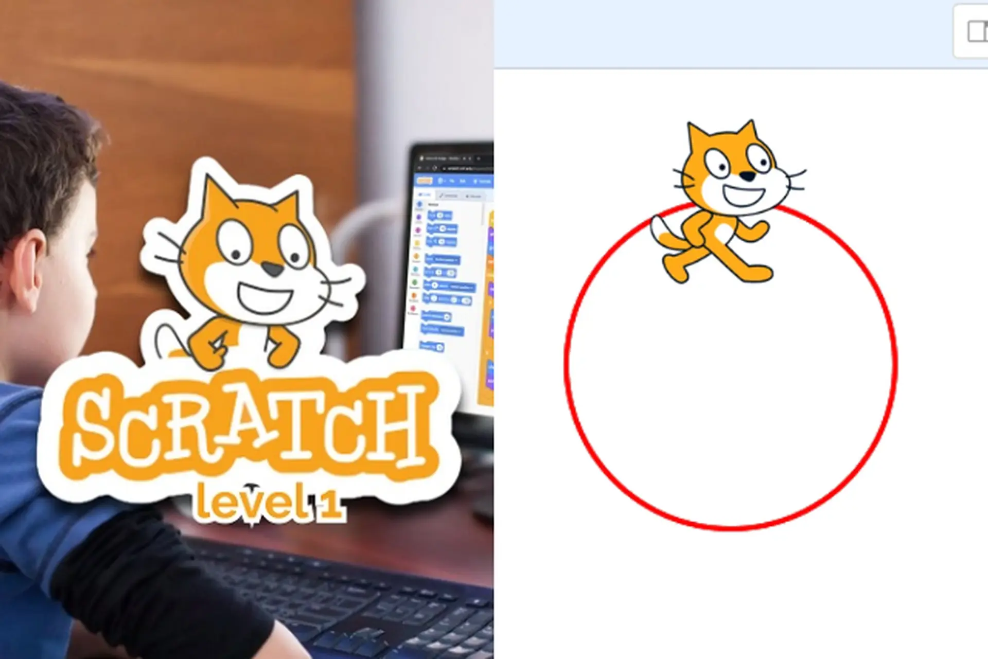Cách vẽ hình tròn trong Scratch cực đơn giản mà ít ai biết: Học xong là làm được ngay!