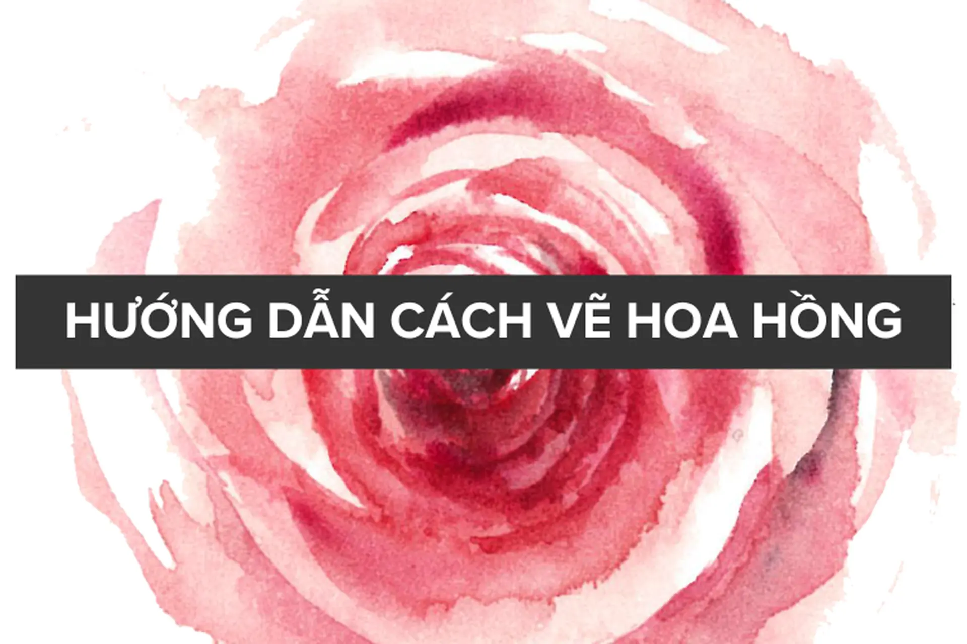 Cách vẽ hoa hồng: Hướng dẫn 3 phong cách vẽ hoa hồng độc đáo và bí quyết để vẽ hoa hồng luôn đẹp