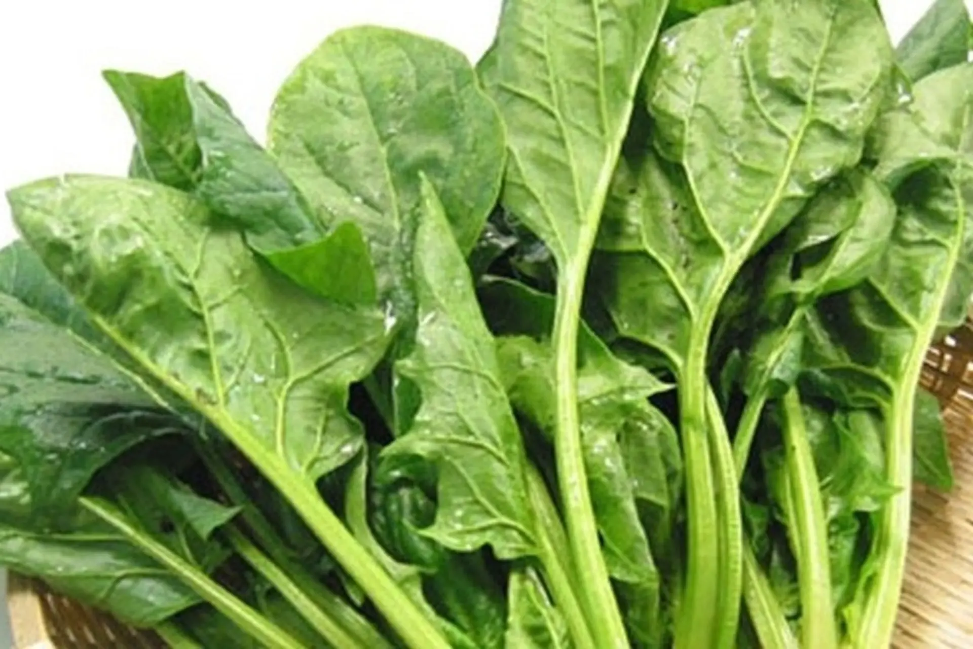 Cải bó xôi là gì? So sánh với cải ngọt và lý do vì sao bạn nên thêm loại rau này vào thực đơn