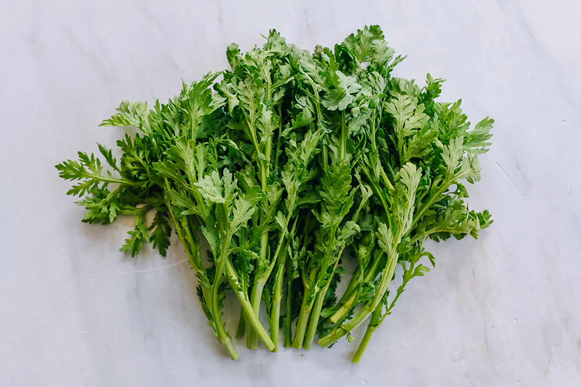 Mọi điều cần biết về cải cúc: Loại rau dân dã dễ trồng, dễ ăn nhưng ít ai biết công dụng tuyệt vời