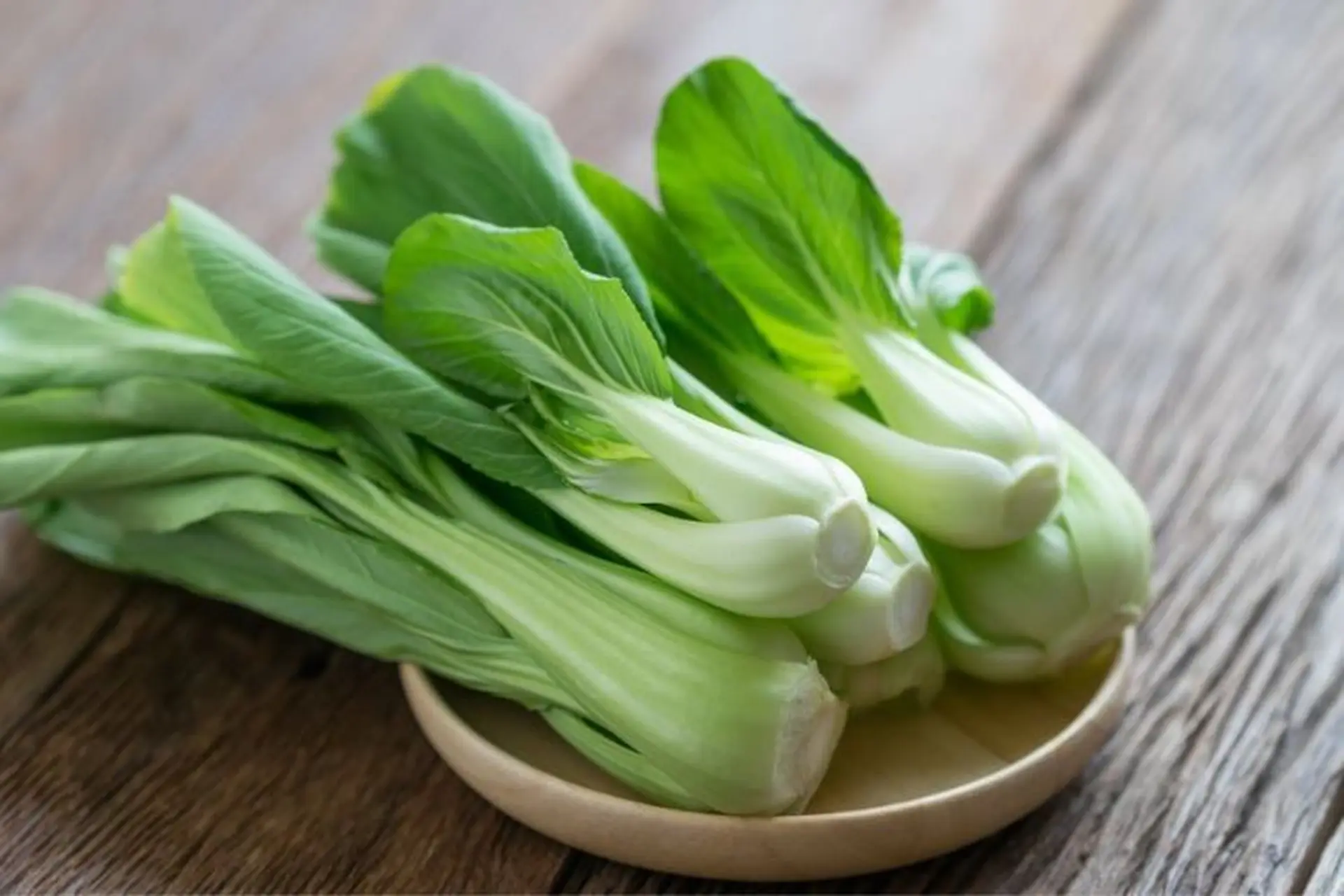 Cải thìa bao nhiêu calo? Những lợi ích bất ngờ khi ăn cải thìa có thể bạn chưa biết