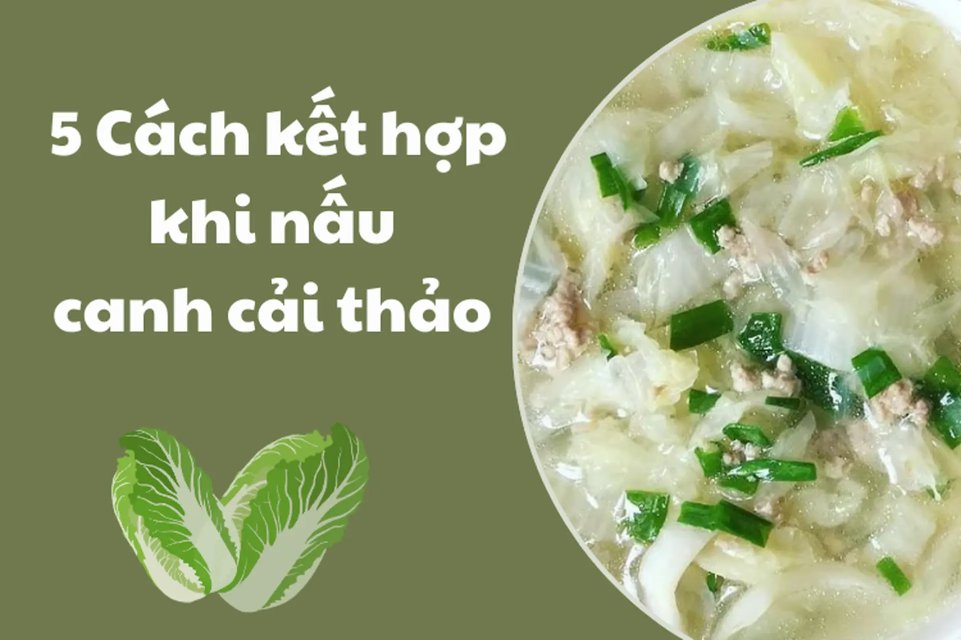 Canh cải thảo có công dụng gì? Chia sẻ 5 cách nấu canh cải thảo thơm ngon tại nhà