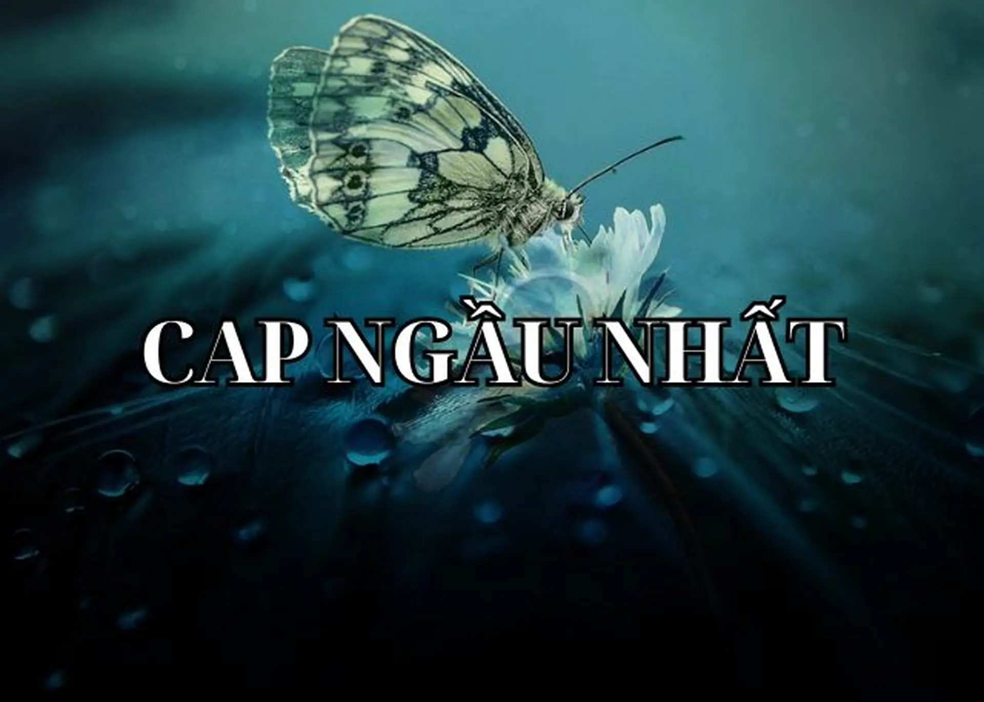 Bộ sưu tập cap ngầu bá cháy dành: Cứ đăng là auto nhận bão like, tăng tương tác