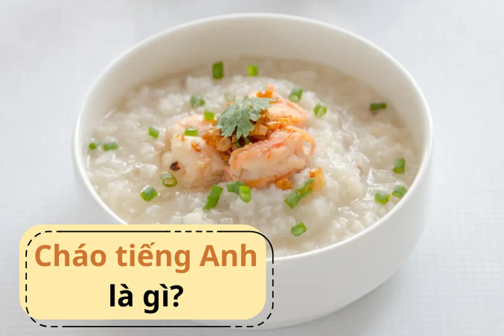 Cháo tiếng Anh là gì? Cách phân biệt congee và porridge đúng chuẩn, dễ hiểu