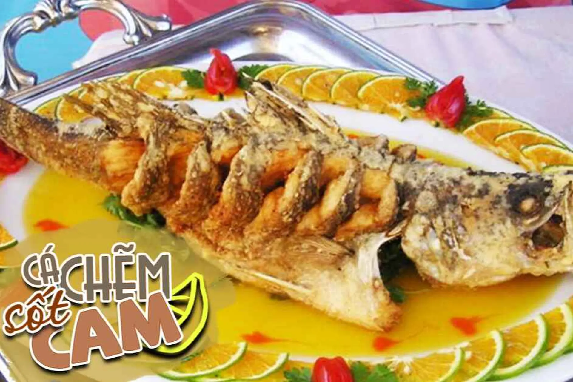 Học ngay 10+ công thức chế biến cá chẽm thơm ngon khó cưỡng, dễ làm tại nhà
