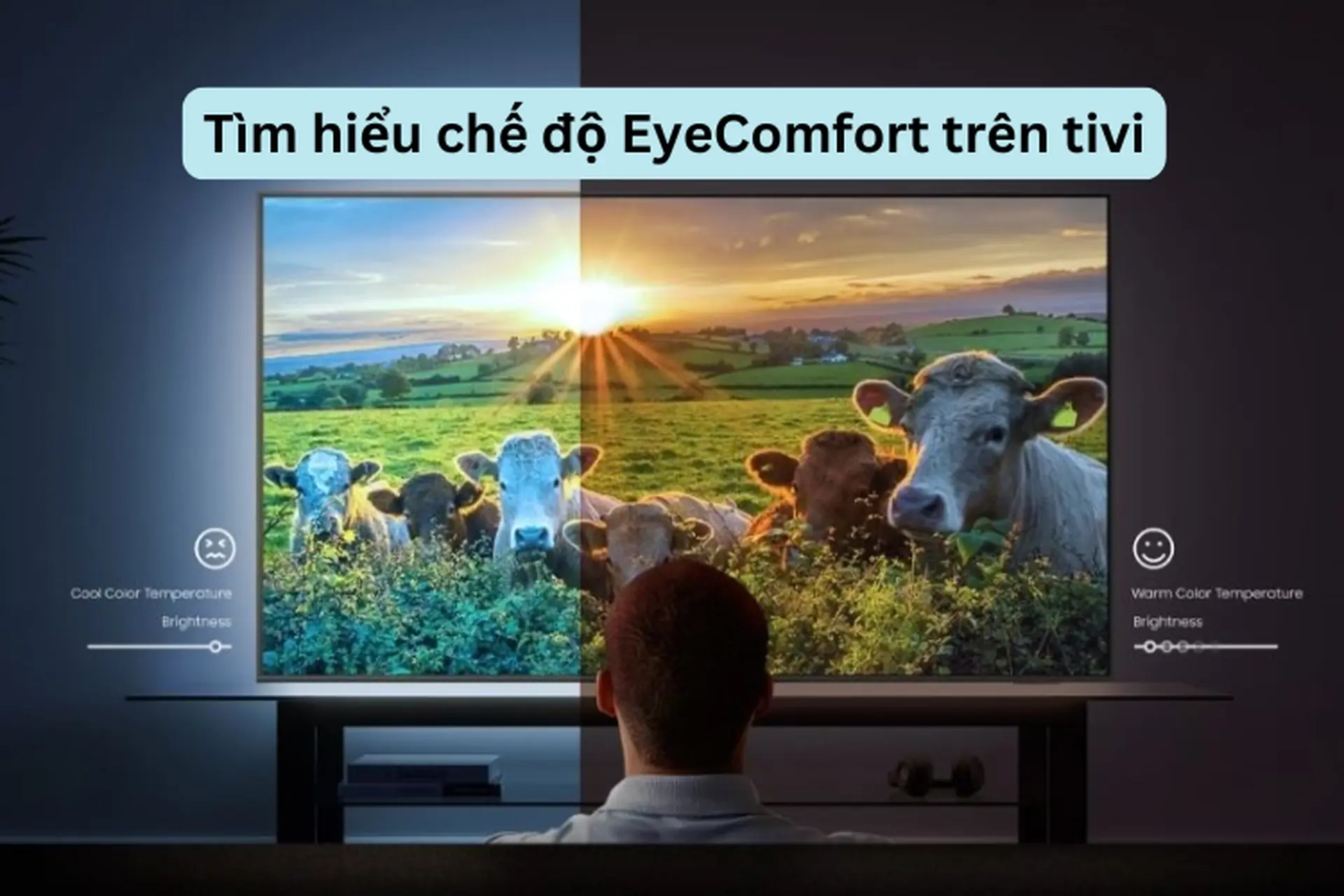 Tìm hiểu chế độ EyeComfort trên tivi là gì? Lợi ích mà chế độ này mang lại cho người dùng 