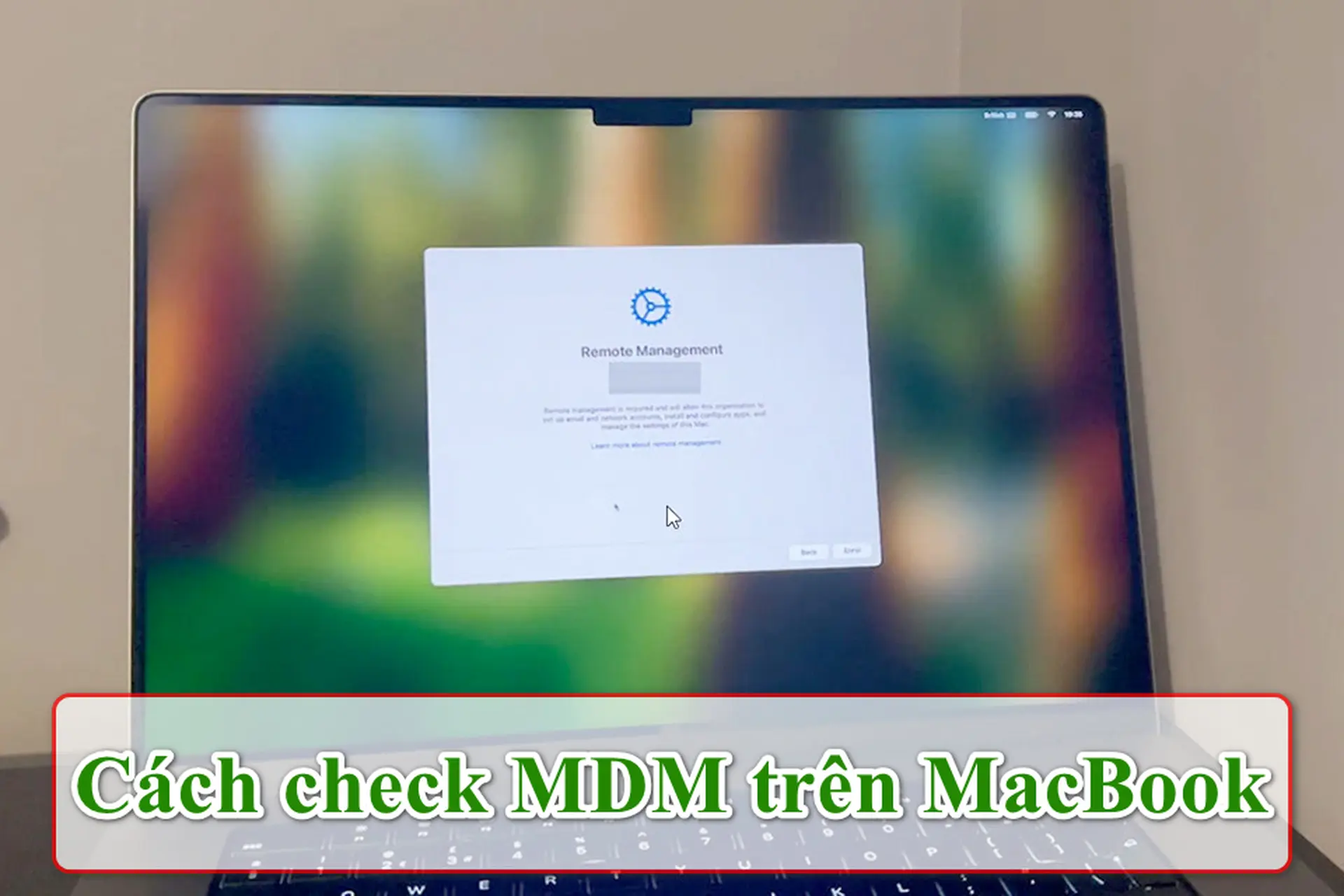 Chi tiết cách check MDM trên MacBook để biết máy có bị quản lý từ xa hay không