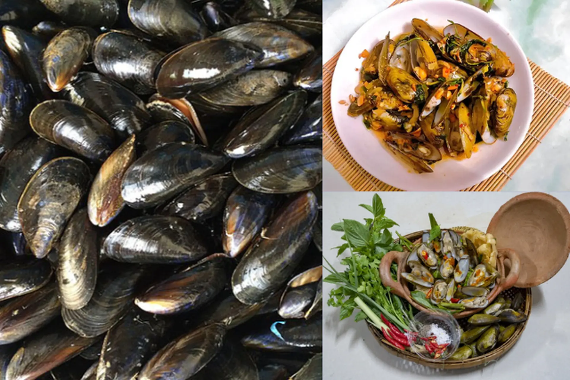 Chem chép – Loài hải sản dân dã cùng 2 cách chế biến đơn giản nhưng ngon khó cưỡng