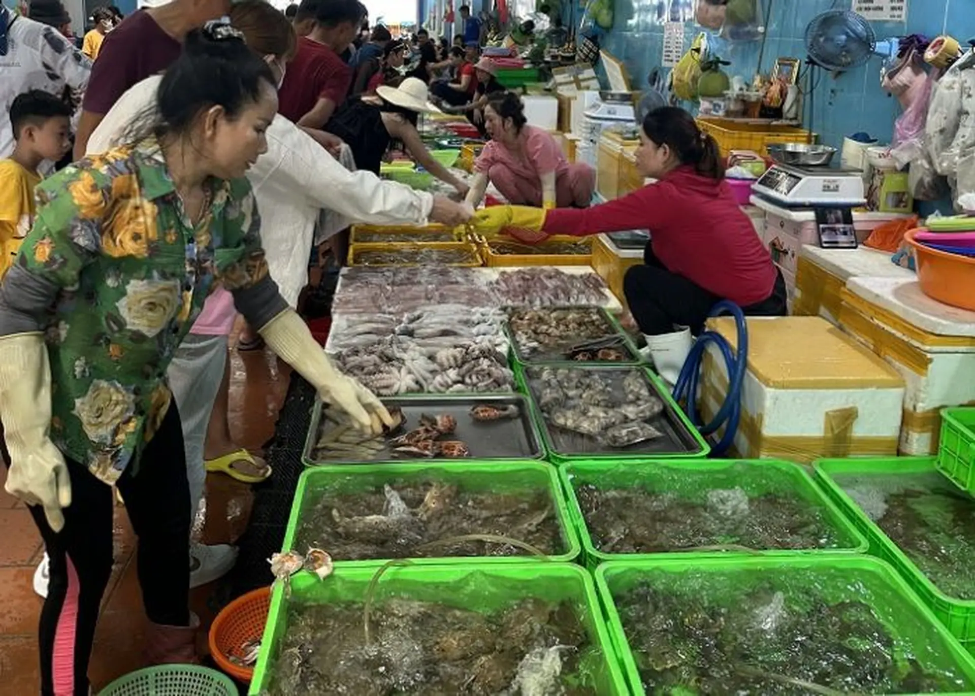 Đến Vũng Tàu du lịch thì nên một lần ghé ăn hải sản tươi ngon ở Chợ Xóm Lưới