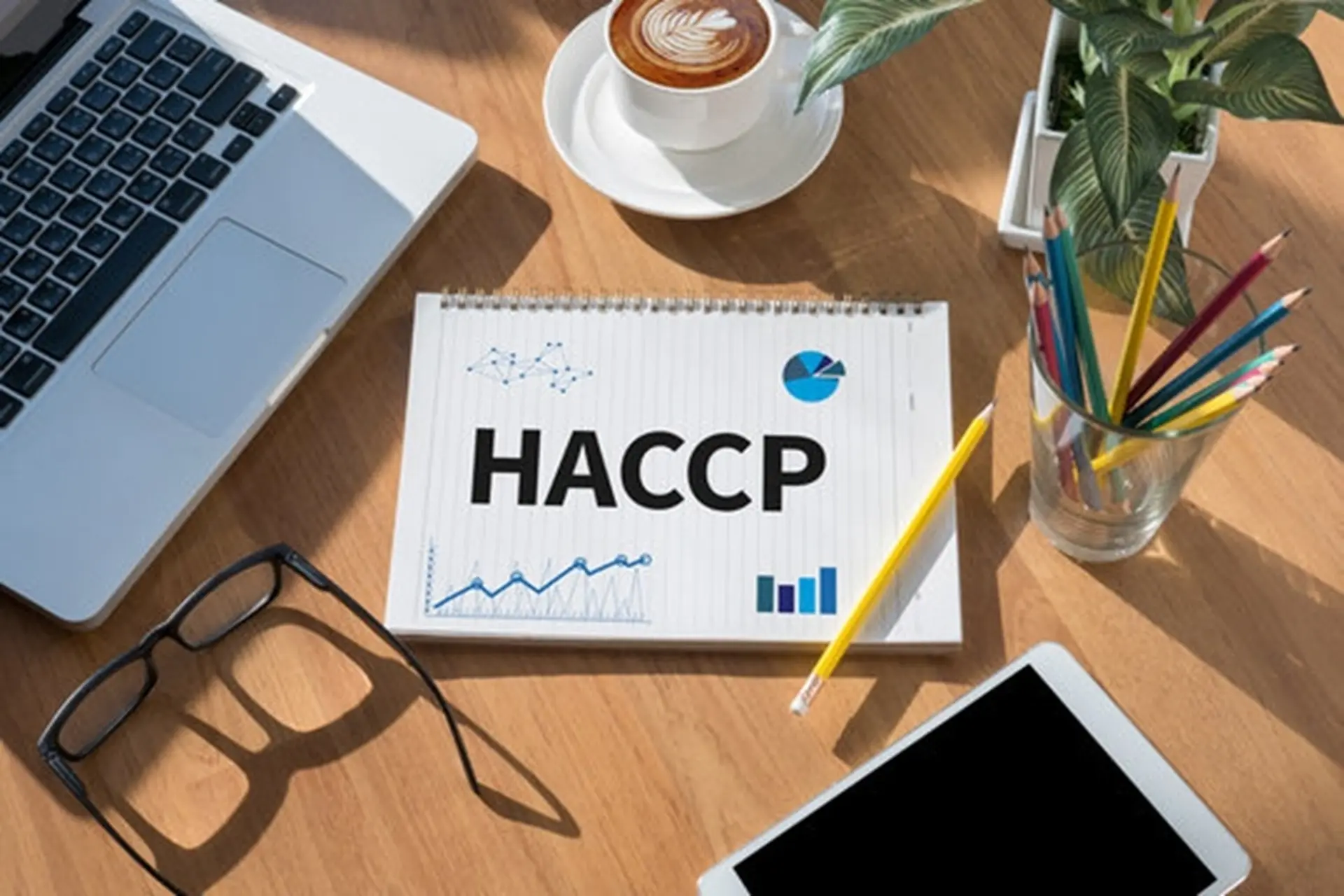 Chứng nhận HACCP là gì? Ý nghĩa, quy trình và lợi ích thiết thực trong ngành thực phẩm