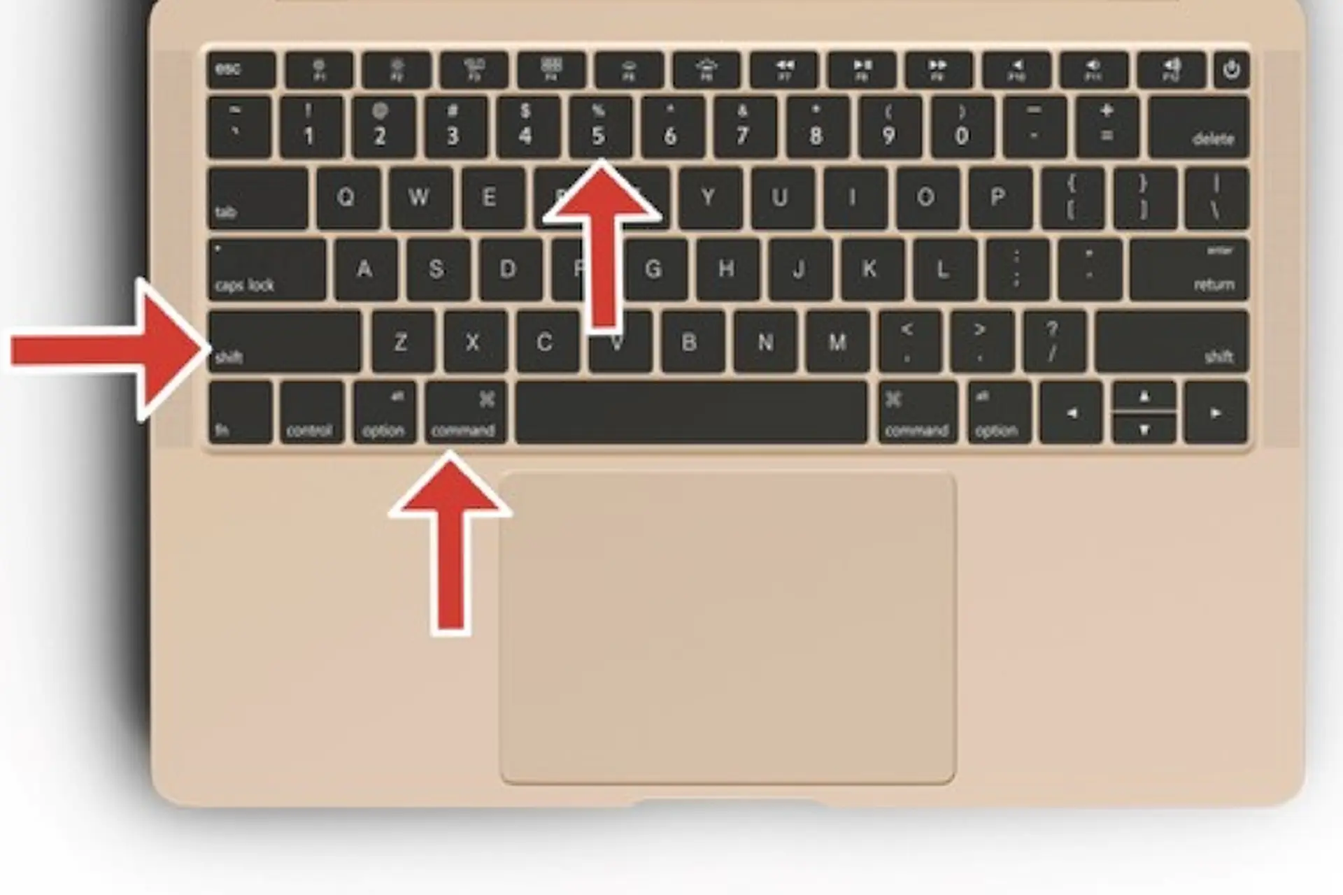 Chụp màn hình MacBook Air như thế nào? Tổng hợp các cách chụp màn hình theo từng nhu cầu